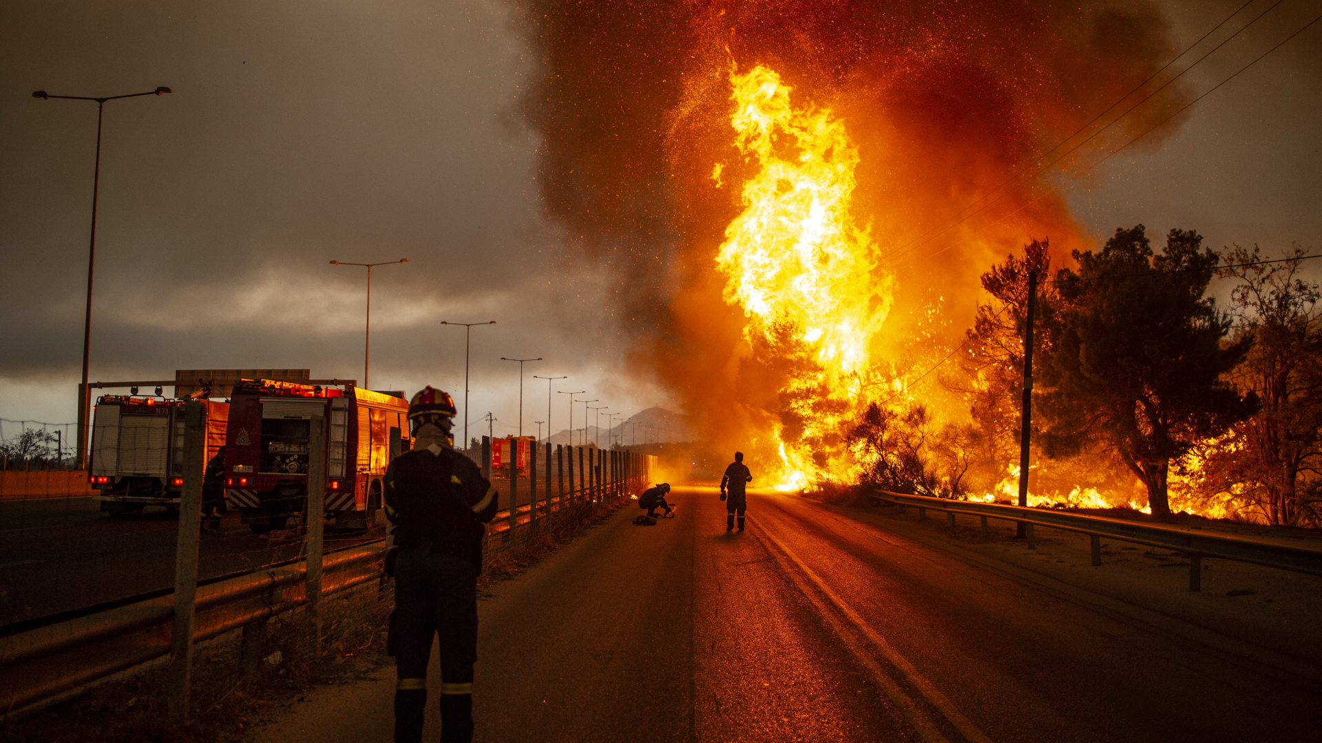Feuerwehrleute bekämpfen einen Waldbrand in einem Waldgebiet nördlich von Athen.