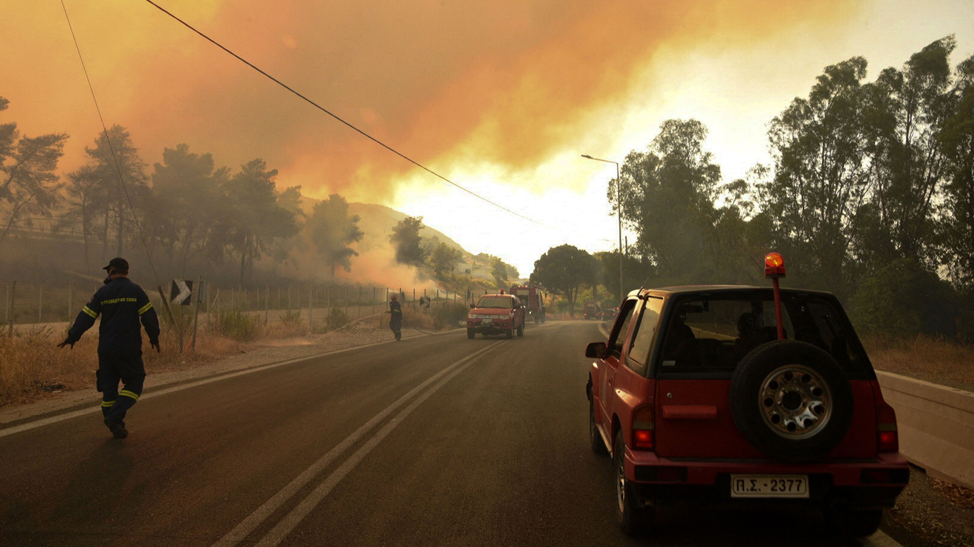 Turchia, Italia, Grecia: gli incendi boschivi nel Mediterraneo continuano a divampare