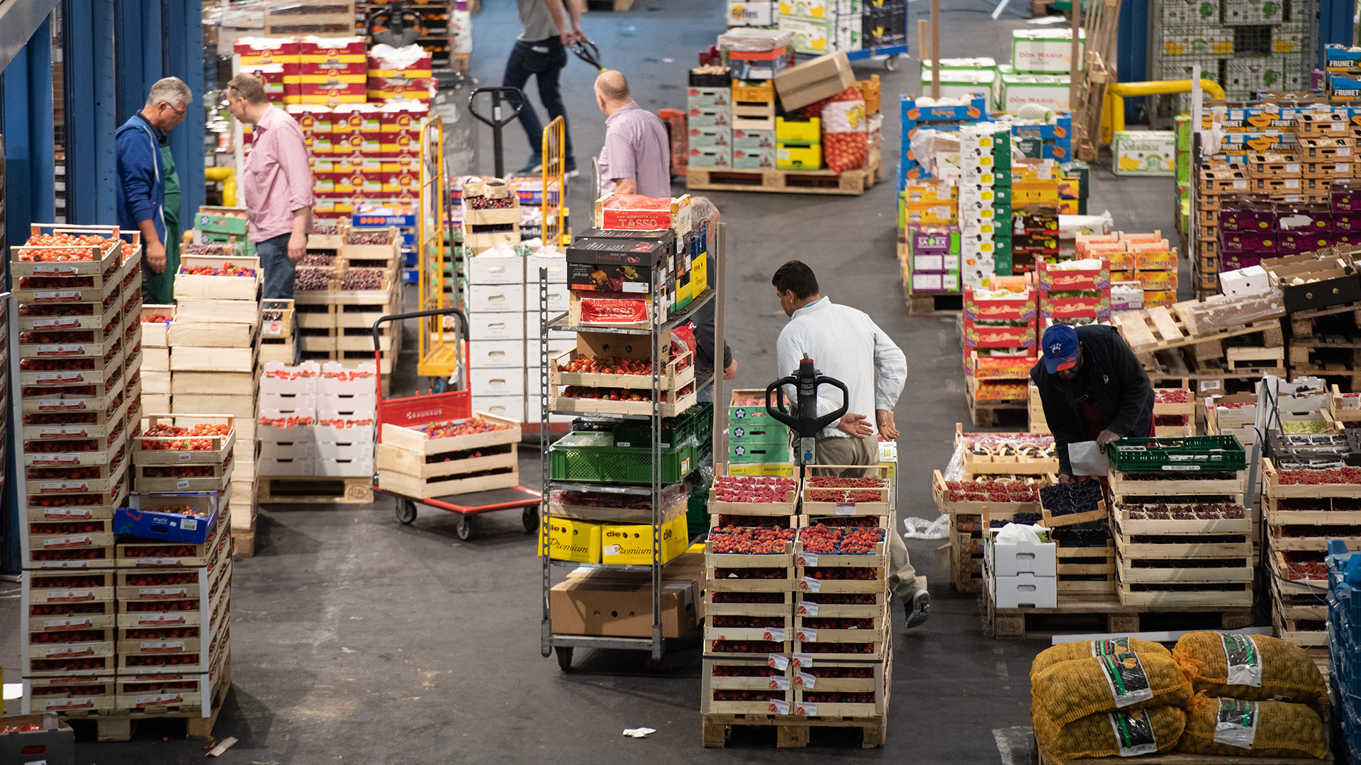 Im Hamburger Großmarkt werden viele Obst- und Gemüsekisten von Menschen bewegt. | picture alliance/dpa