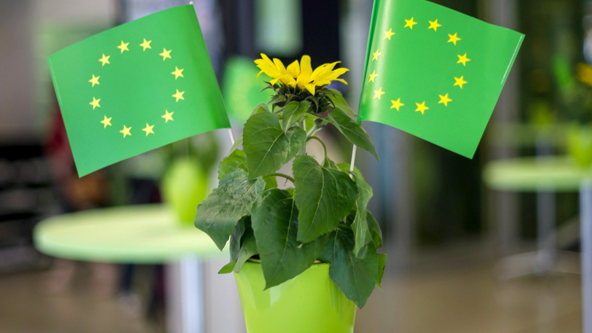 Blume und EU-Flaggen in Grün auf einer Wahlparty der Grünen (Archivbild vom 25.05.2014) | Bildquelle: dpa