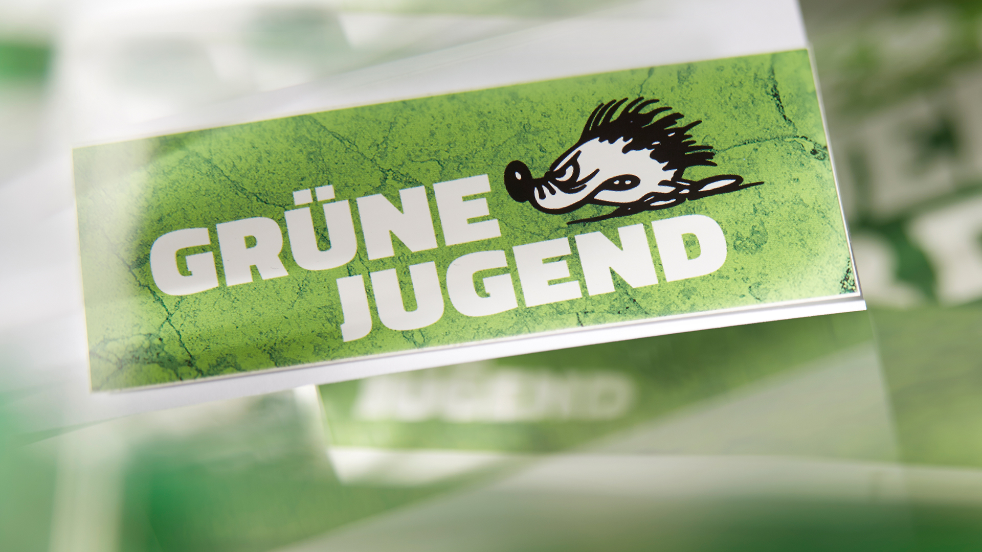 Logo Grüne Jugend | ARD-aktuell / Korinth