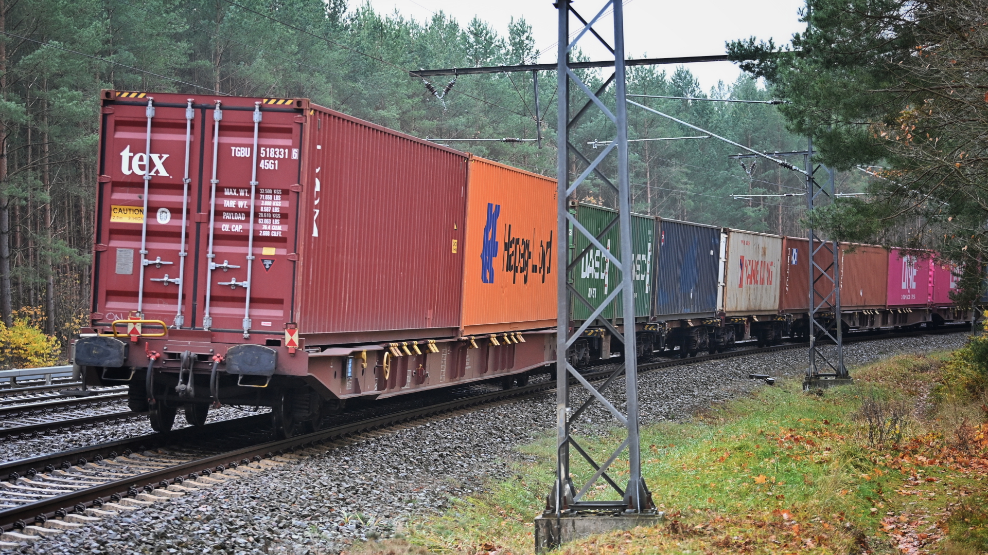 Ein Güterzug fährt durch einen Wald in Brandenburg | dpa