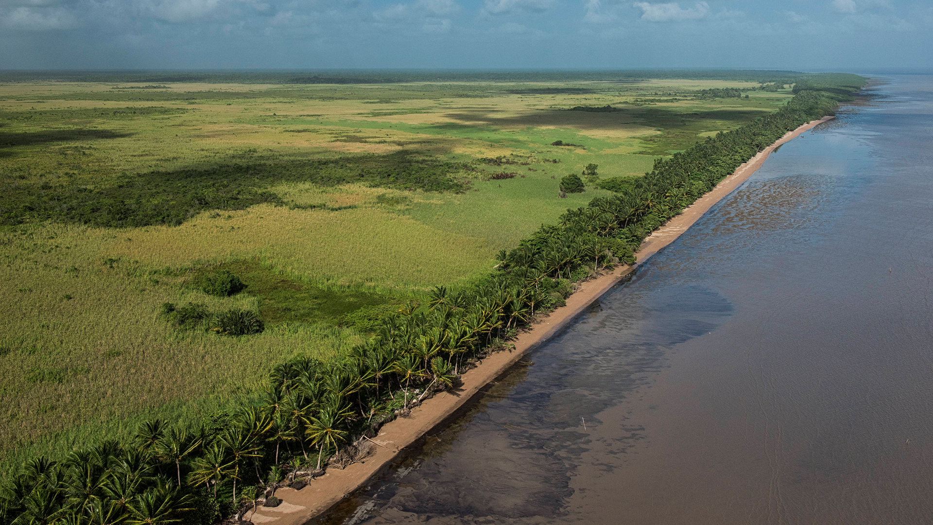Blick auf die Küste von Guyana | imago images/Nature Picture Libr