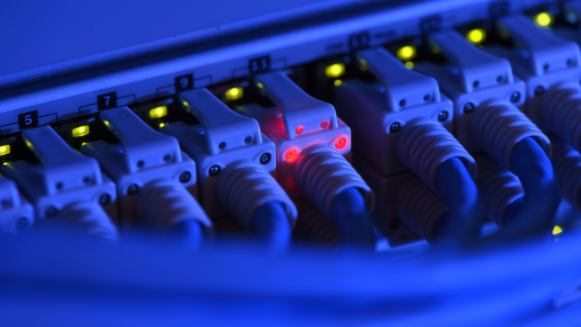 Ein Netzwerk-Kabelstecker leuchtet in der Netzwerkzentrale einer Firma zu Kontrollzwecken rot. | dpa
