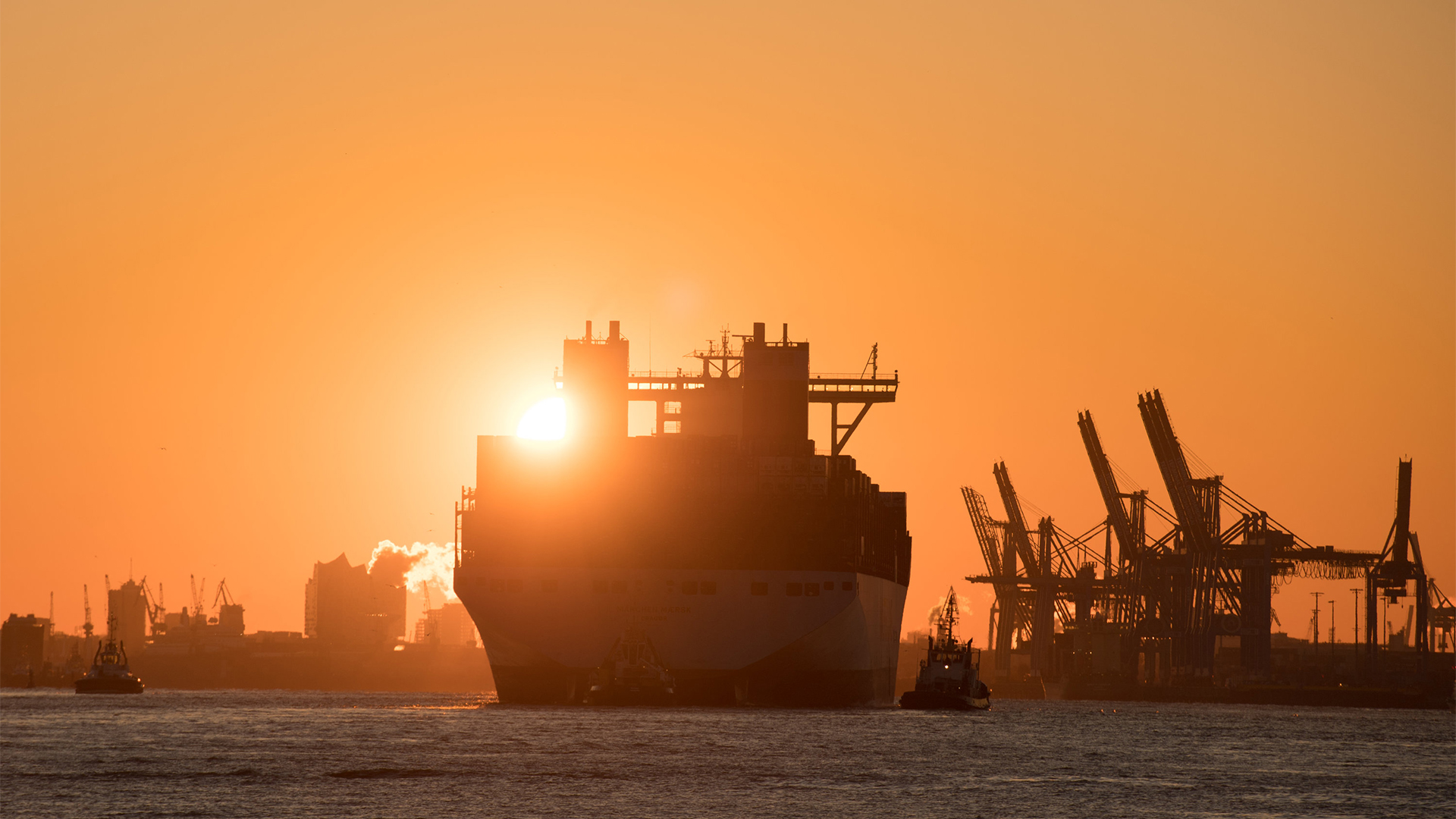 Ein Containerschiff läuft während des Sonnenaufgangs in den Hamburger Hafen ein. | Bildquelle: dpa