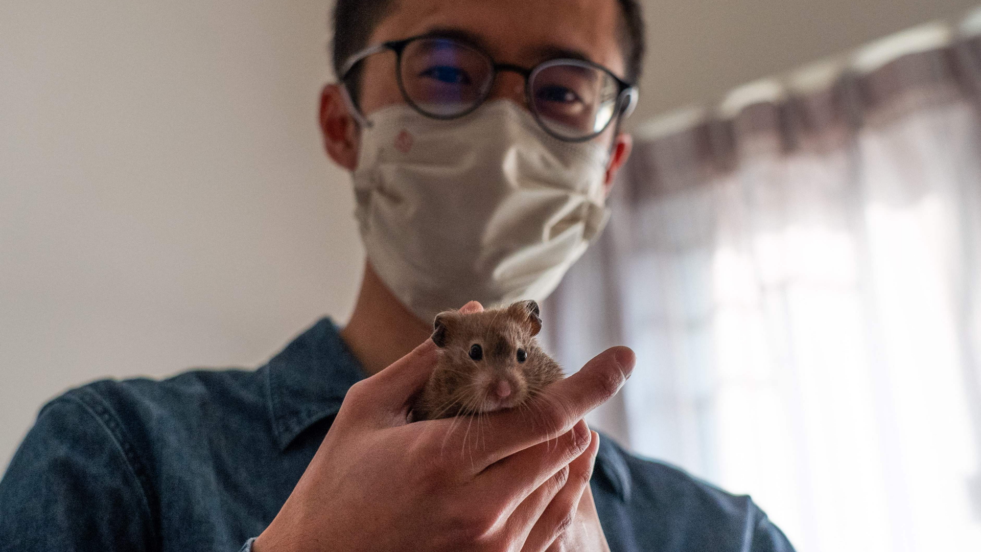 Mann mit Hamster in Hongkong | AFP