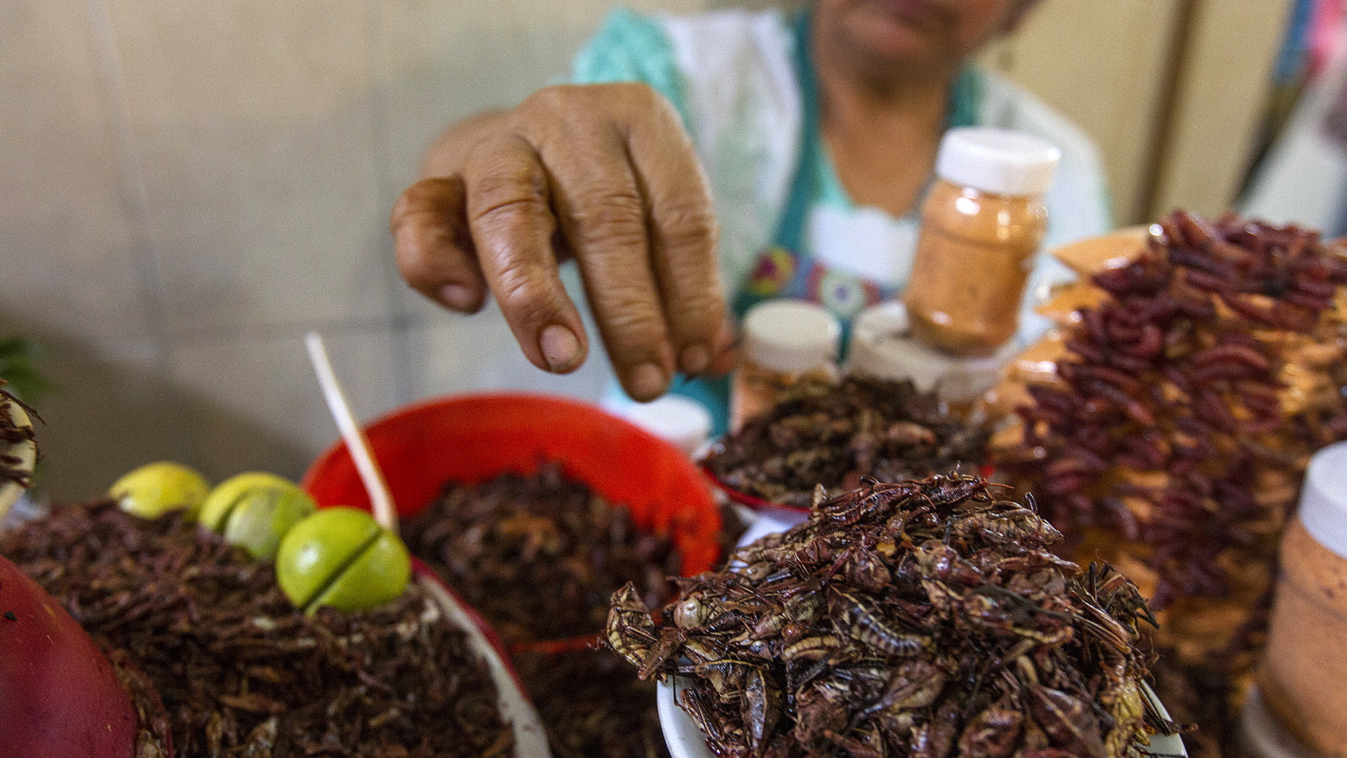 Geröstete Heuschrecken werden auf einem Markt in Mexiko verkauft.  | dpa