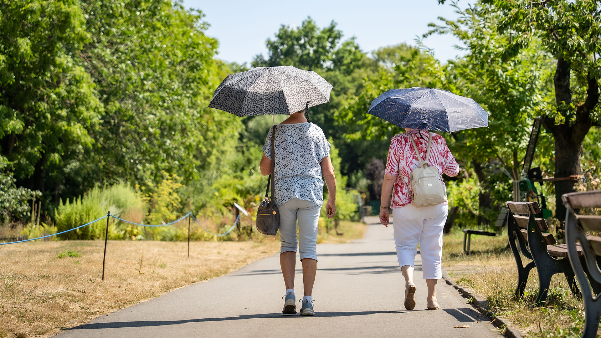 Zwei Frauen gehen mit ihren aufgespannten Schirmen als Schutz vor der Sonne über den Frankfurter Lohrberg. | dpa