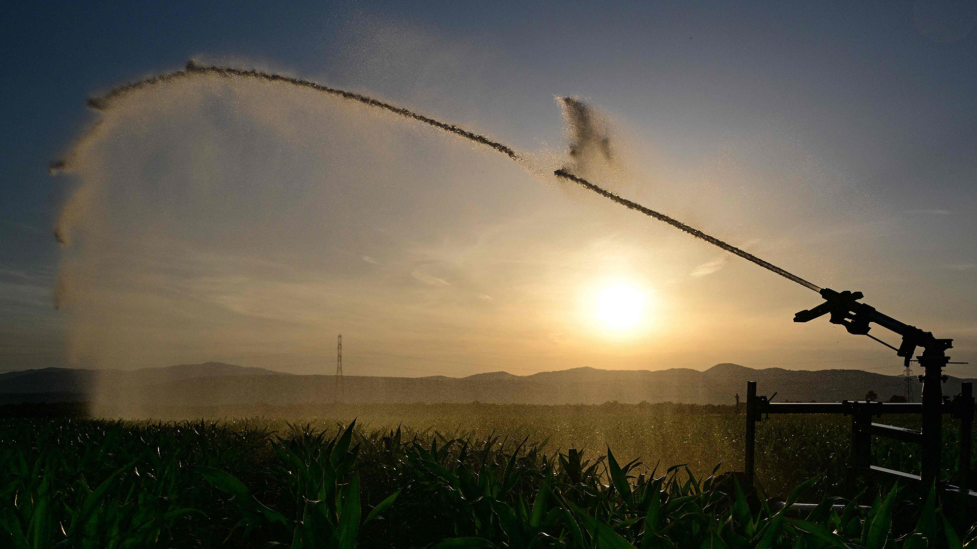 Eine automatische Bewässerungsanlage ist auf einem Feld in Ostfrankreich im Einsatz. | dpa