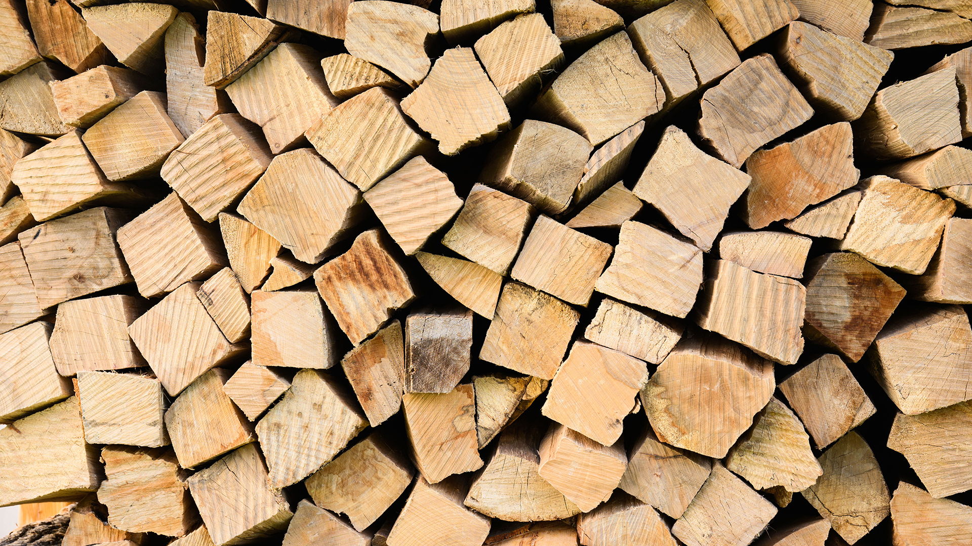 Streit ums Heizen mit Holz: Wirklich klimaneutral?