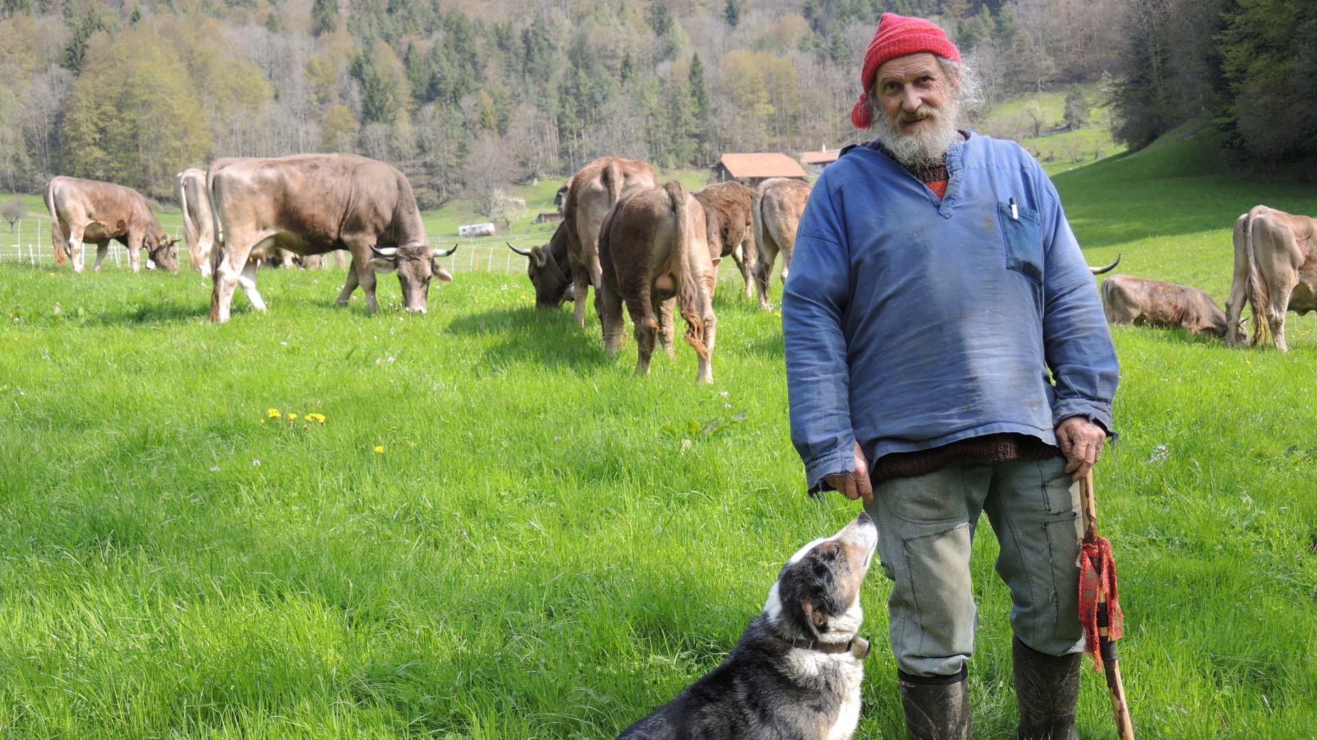 Der Bergbauer Armin Capaul steht auf seiner Farm in Perrefitte im Berner Jura vor seiner Kuhherde. | Bildquelle: dpa