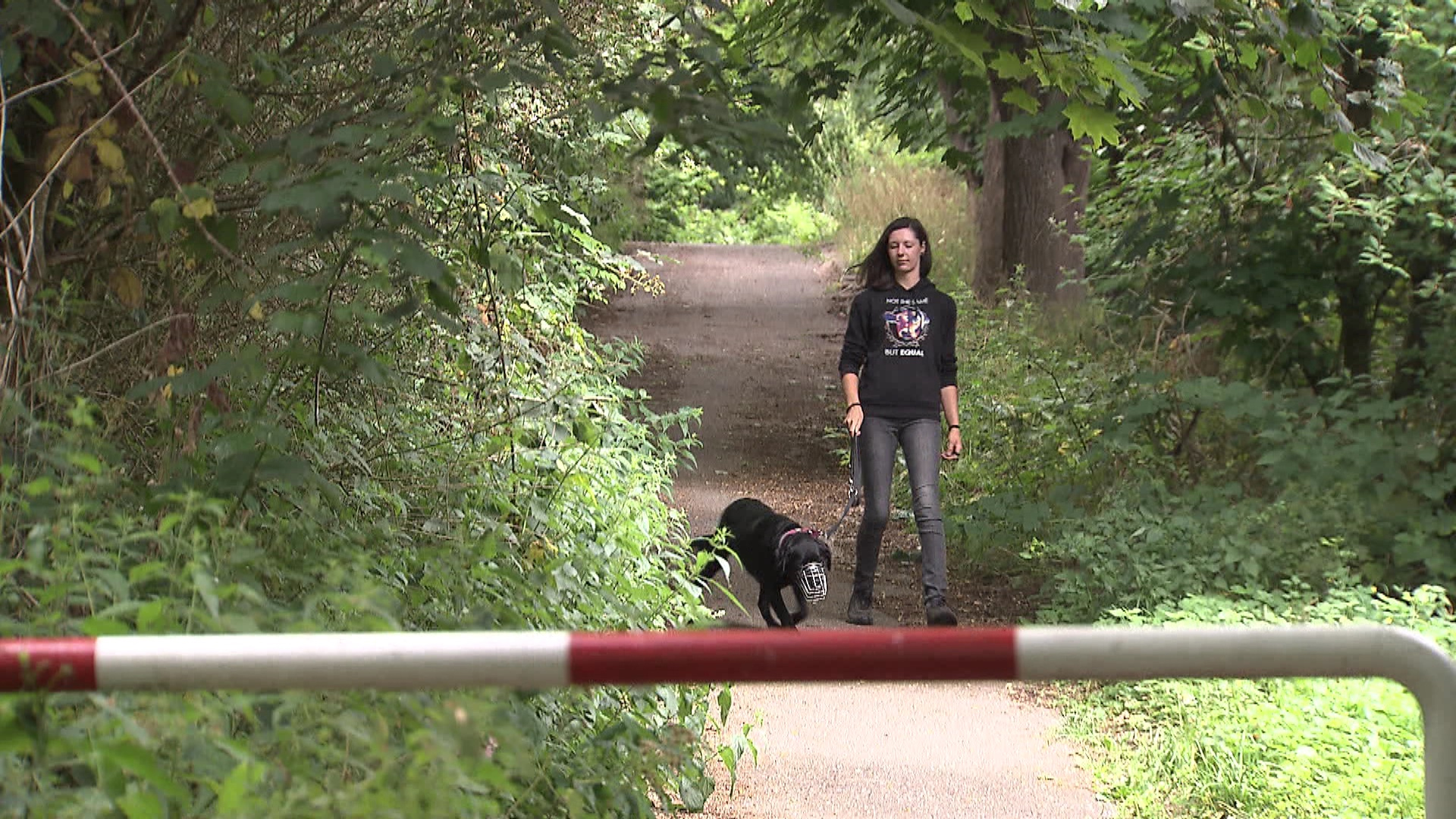 Eine Mitarbeiterin eines Tierheims geht mit einem Hund spazieren. | Thelen/SR
