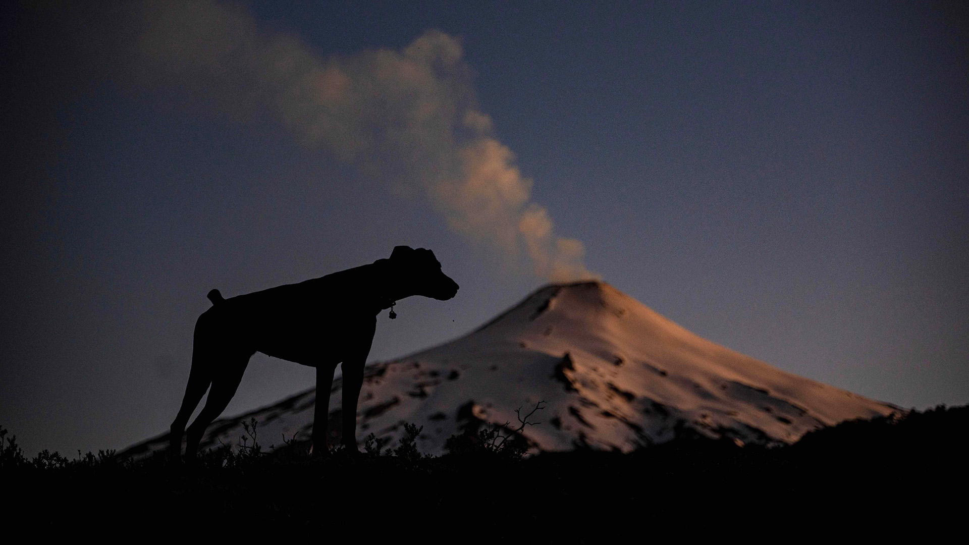 Die Silhouette eines Hundes vor einem Vulkan, aus dem Rauch steigt. | AFP