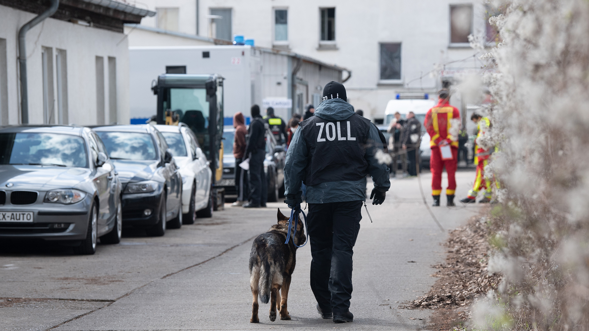 Ein Hundeführer vom Zoll geht über ein Gelände in Lichtenberg. | dpa