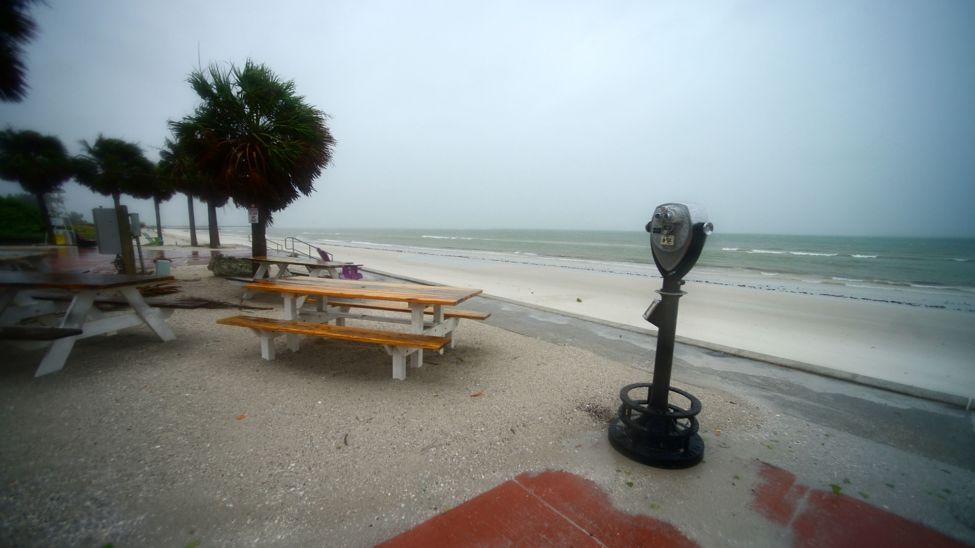 Palmen wehen im Sturm am leeren Strand von St. Petersburg, Florida