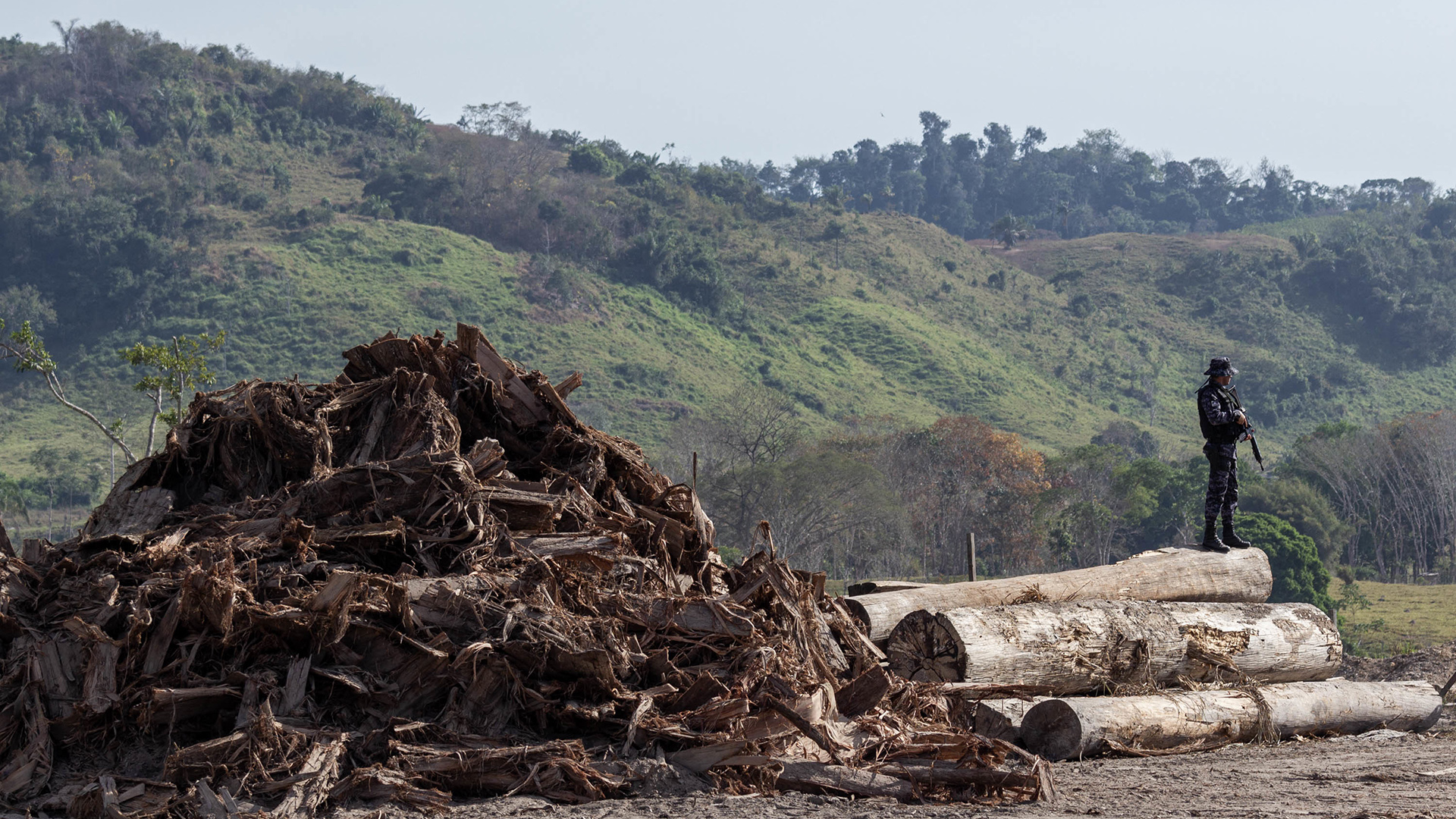 Brasilien, Rondonia: Auf diesem vom brasilianischen Umweltinstitut zur Verfügung gestelltes Bild bewacht ein Soldat Bäume, die illegal gefällt wurden.