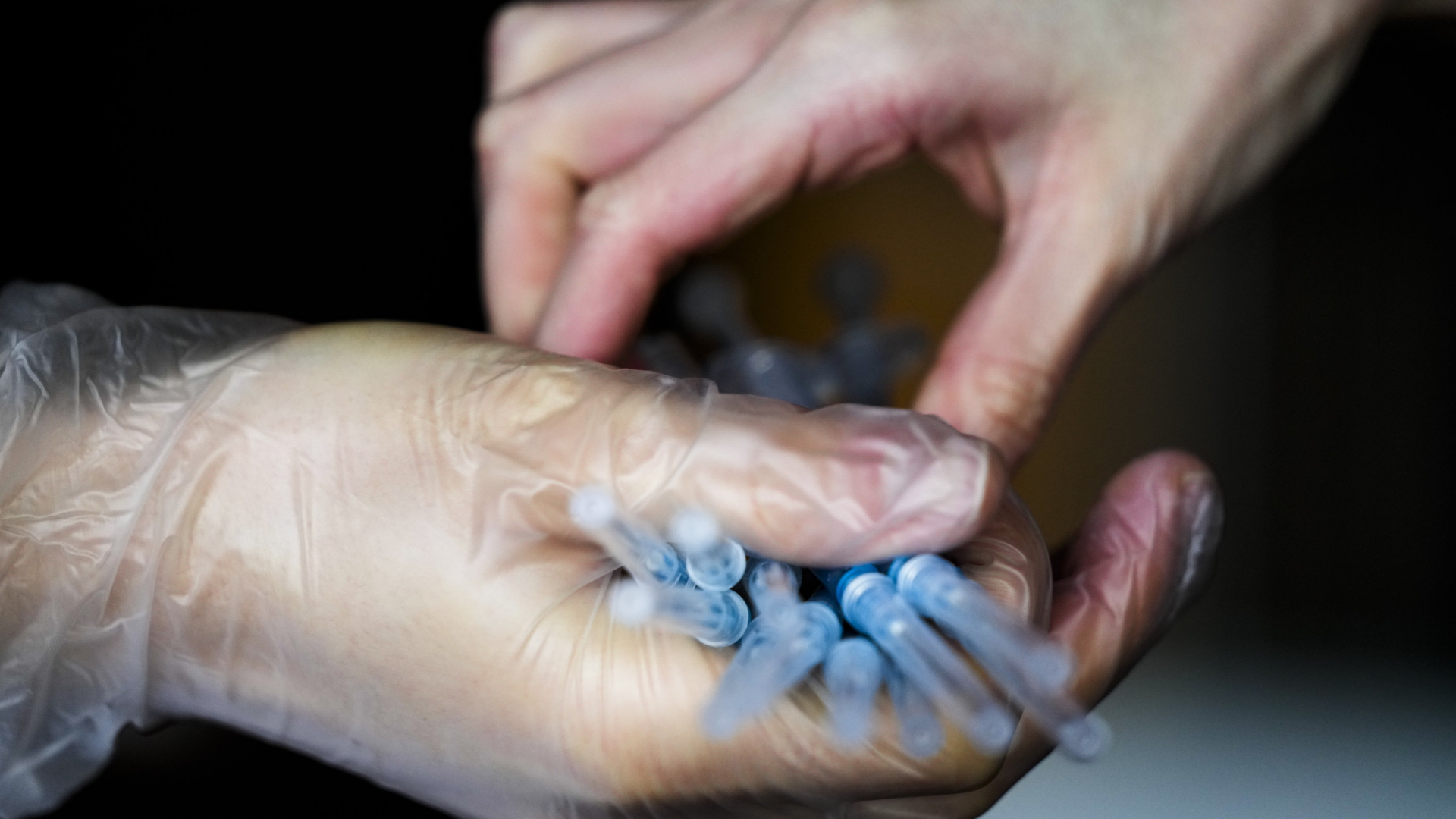 Eine Hand mit einem Plastikhandschuh hält mehrere Impfspritzen, eine zweite Hand greift danach. | AP