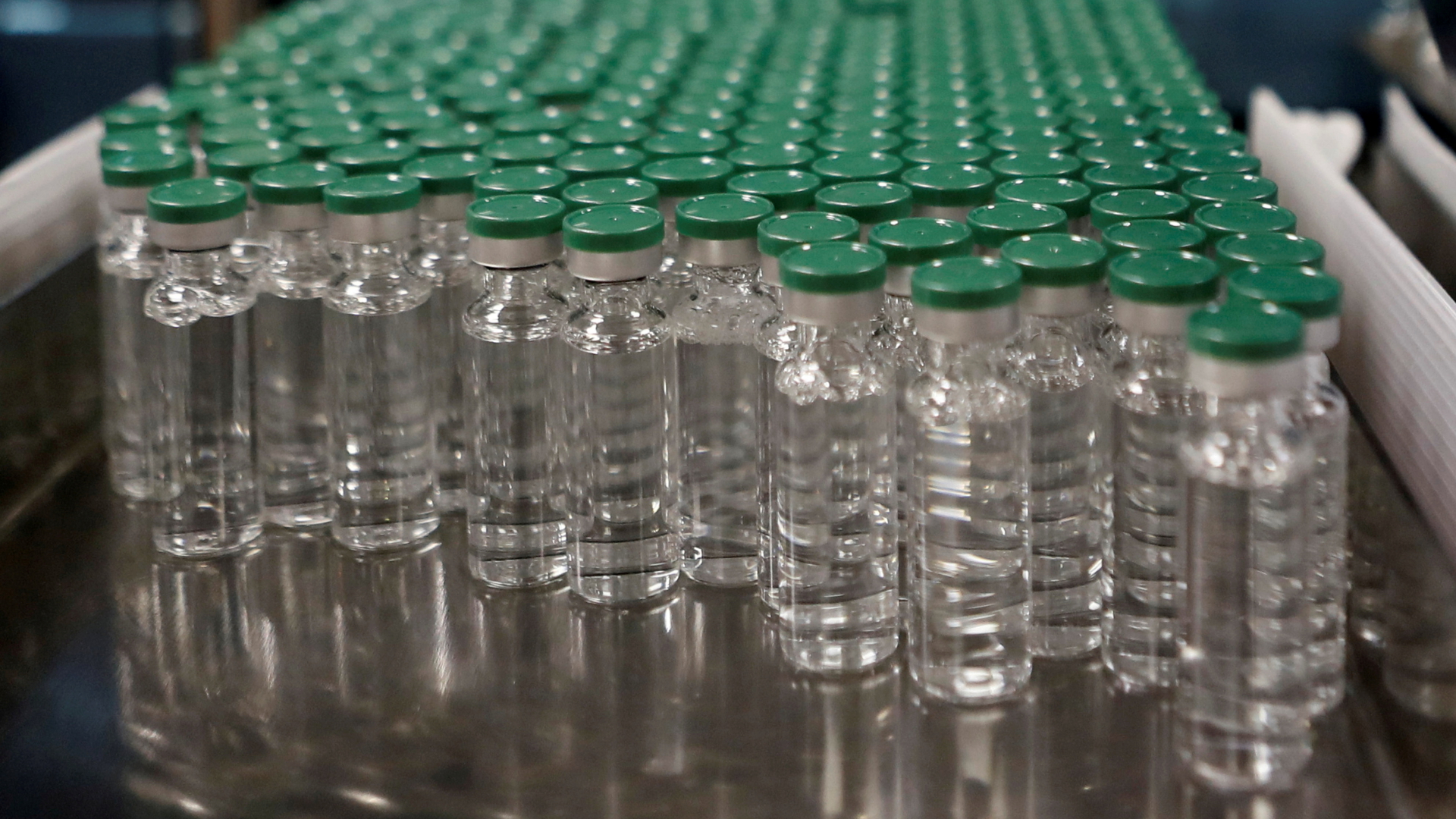 Kanülen mit dem Corona-Impfstoff von AstraZeneca in einem Labor in Indien. | REUTERS