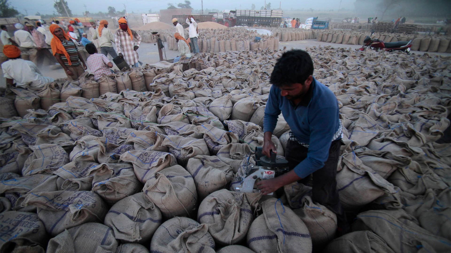 Weizensäcke werden in Gurdaspur (Indien) für den Weitertransport verpackt. | AP
