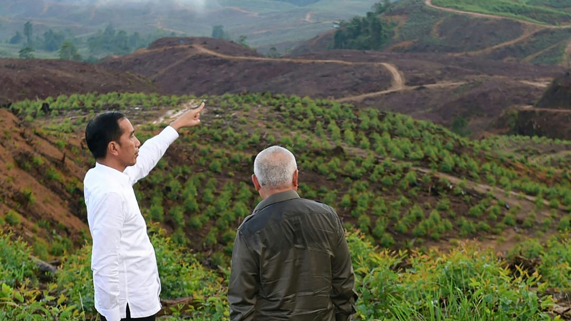 Indonesiens Präsident Joko Widodo besichtigt die Gegend in der die neue Hauptstadt gebaut werden soll | AFP