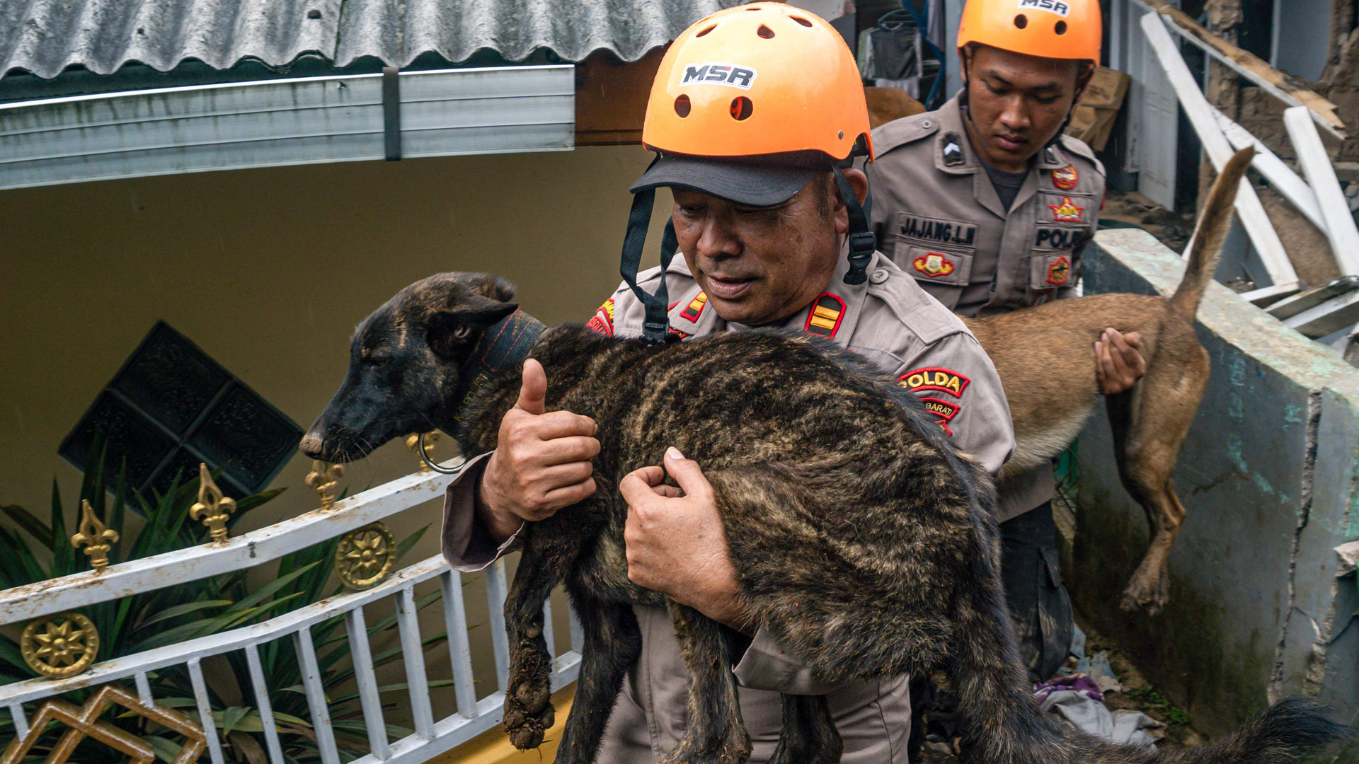 Ein Rettungshund wird inmitten von Erdbebentrümmern getragen. Er hat zuvor bis zur Erschöpfung gesucht. | AFP
