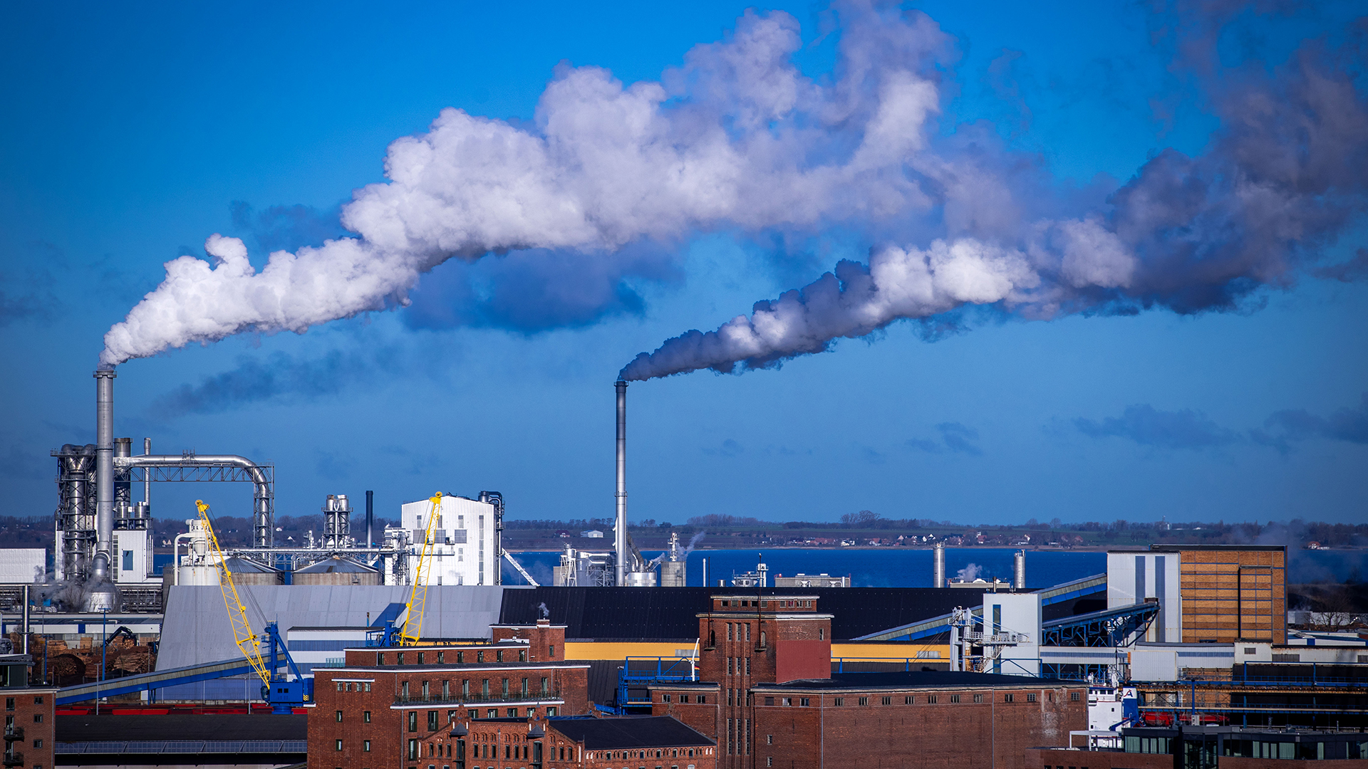 Rauch steigt aus Schornsteinen von holzverarbeitenden Industriebetrieben am Seehafen Wismar auf. | dpa