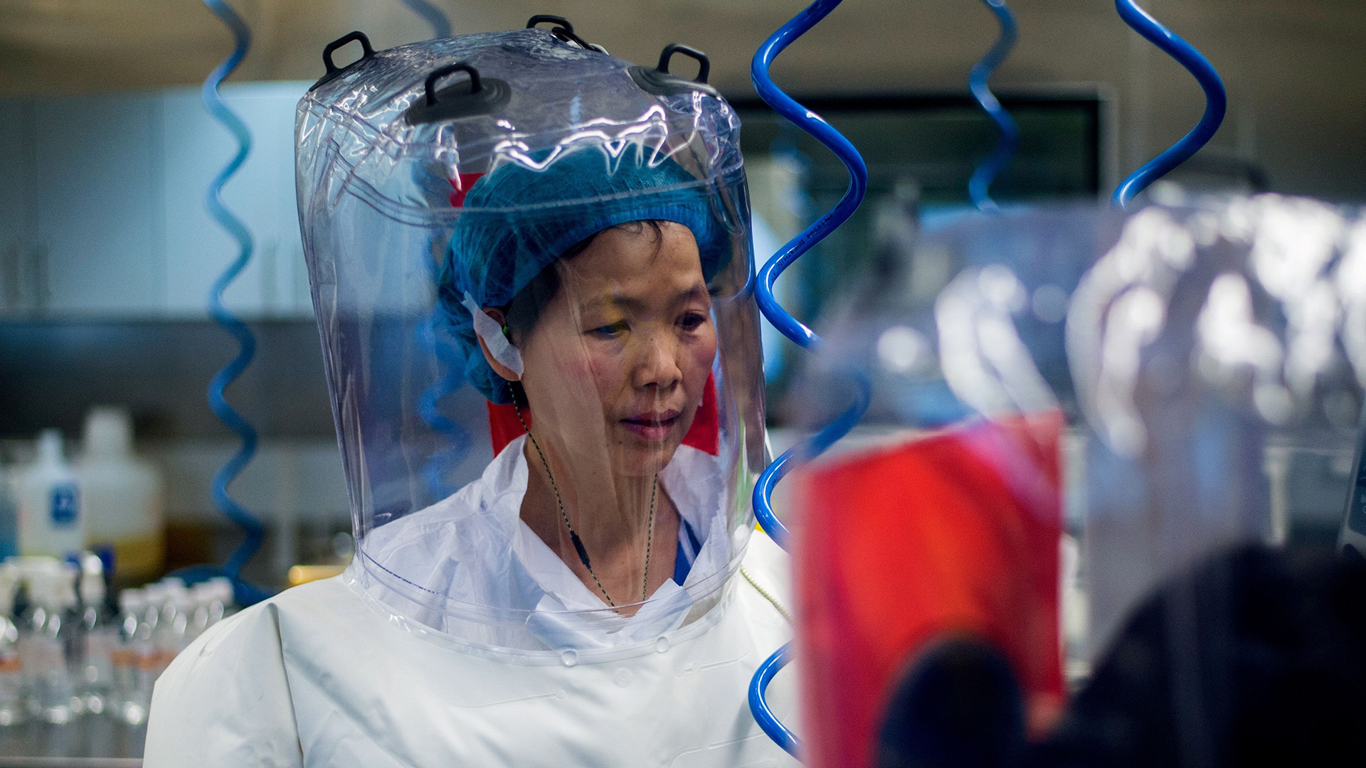 Virologin Shi Zhengli im p4 Labor des Institutes für Virologie in Wuhan | AFP