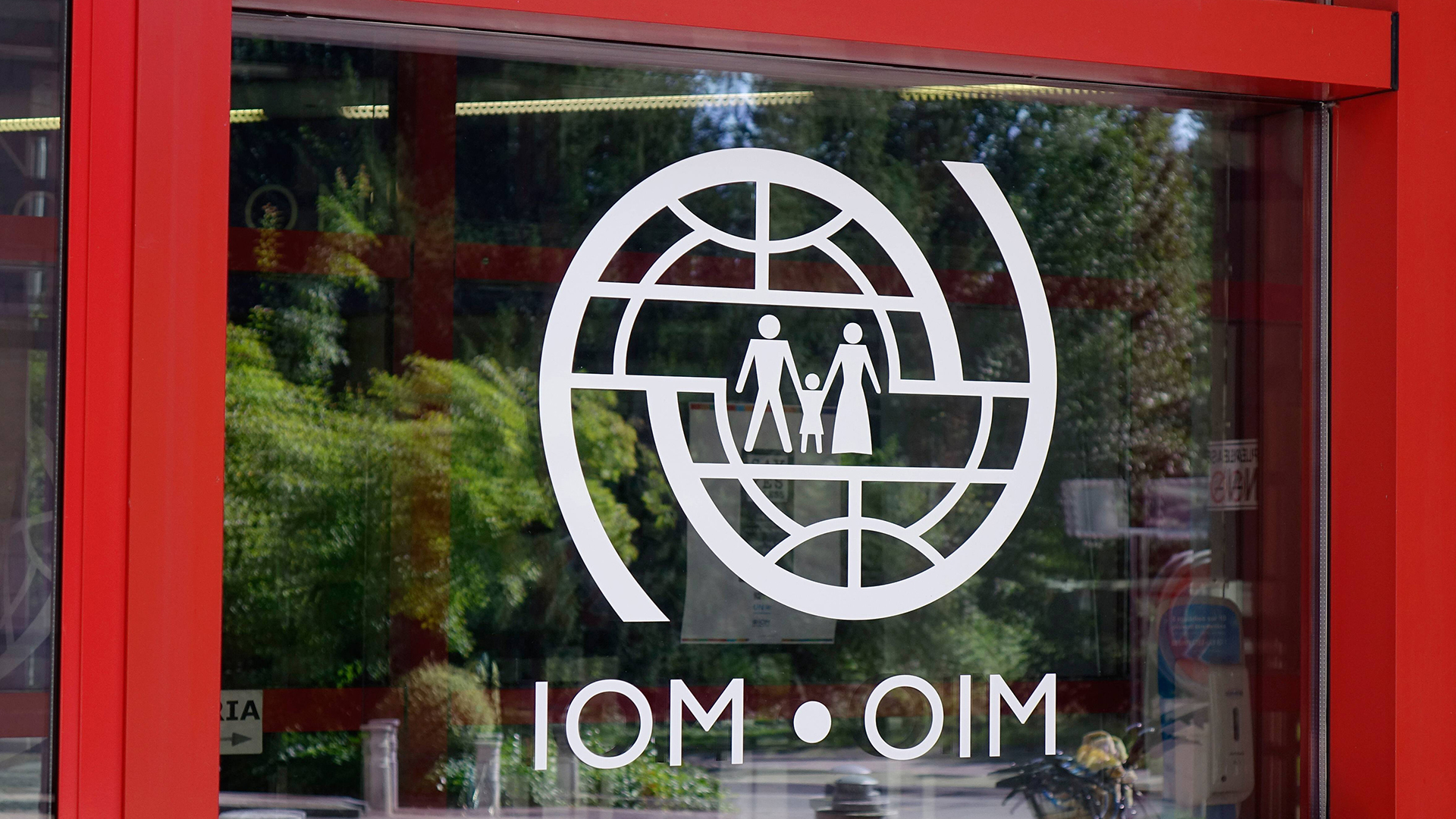 Logo IOM | imago images / Steinach