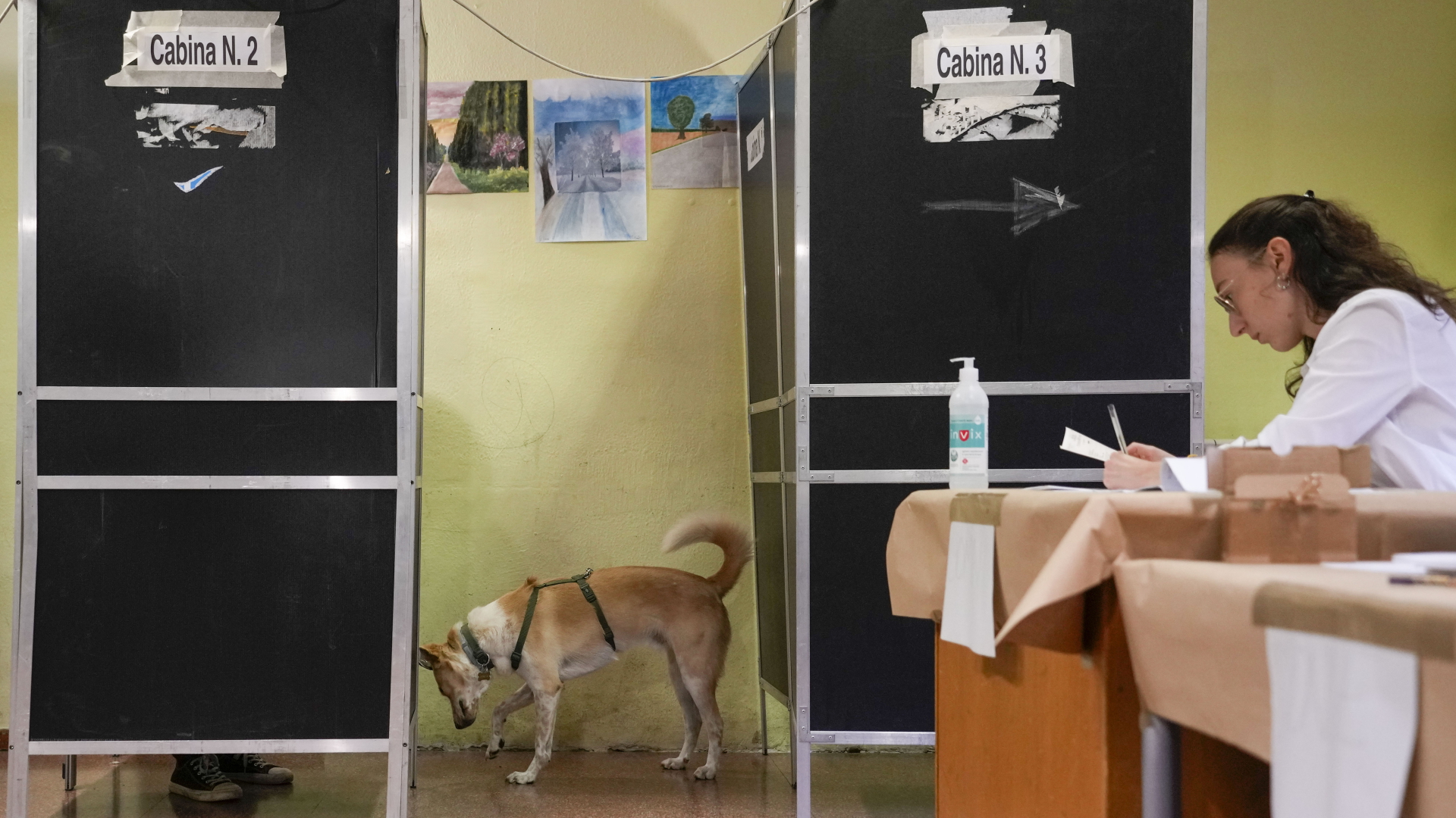 Ein Hund wartet in einem Wahllokal in Rom auf sein Herrchen, das in einer Wahlkabine gerade seine Stimme abgibt.  | dpa