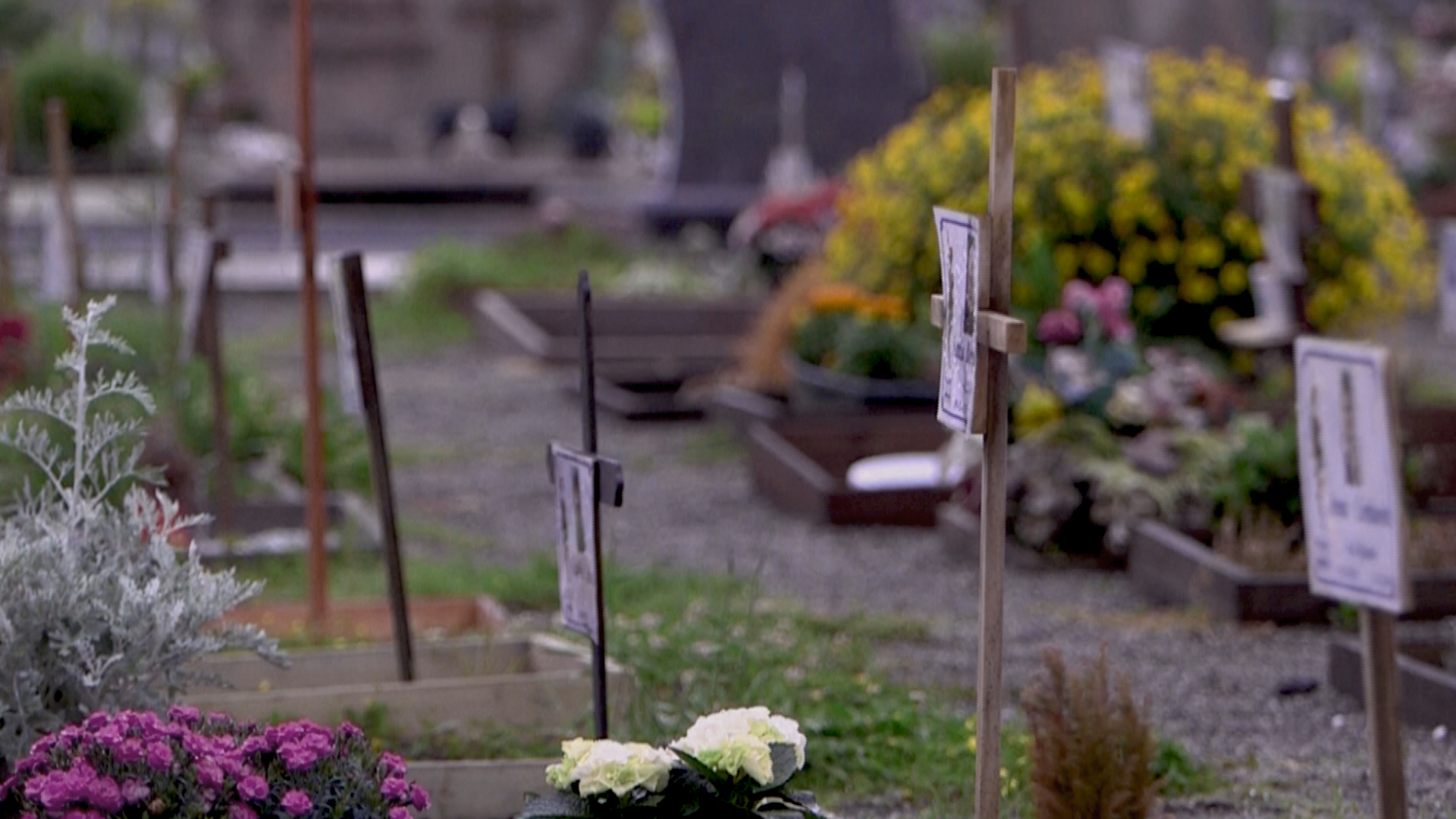 Friedhof in Bergamo | Screenshot