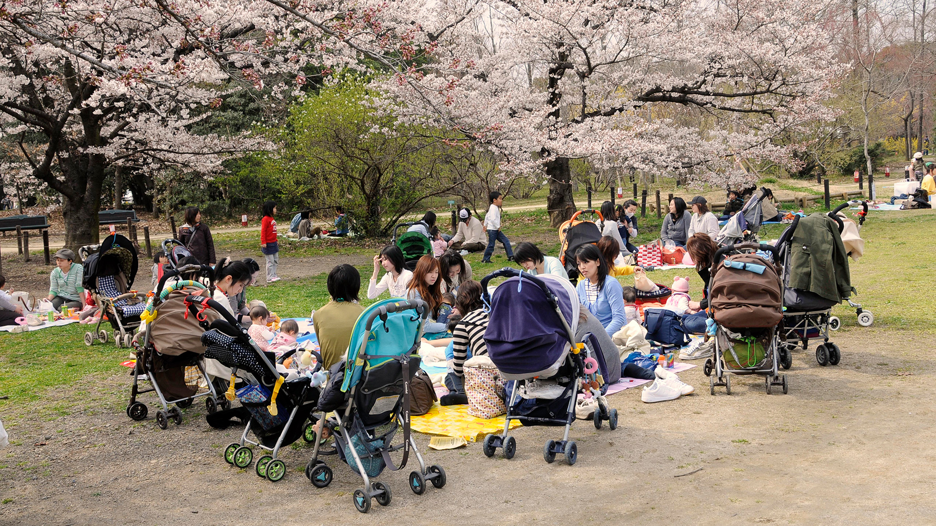 Mütter mit Kinderwagen sitzen im botanischen Garten in Kyoto (Japan). | picture alliance / imageBROKER