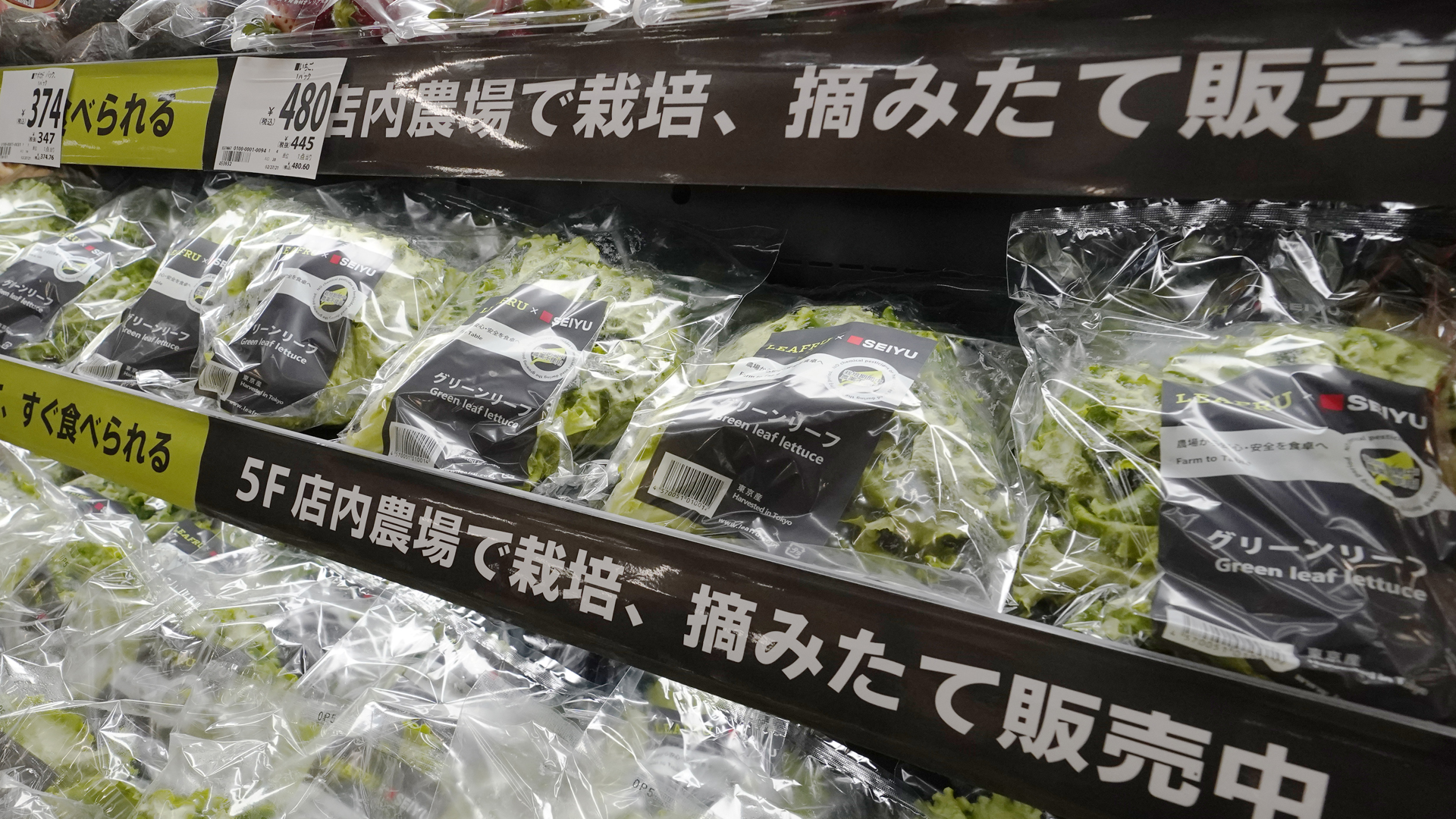 Salat, Snacks, selbst Bananen: fast alles, was in Japan im Supermarkt zu kaufen ist, wird in einer Plastikhülle angeboten. | picture alliance/dpa/Jiji Press 