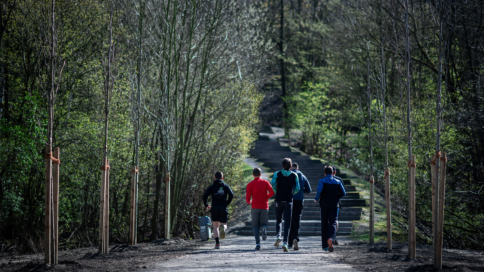 Eine Gruppe Jugendlicher geht im Wald joggen| Bildquelle: dpa