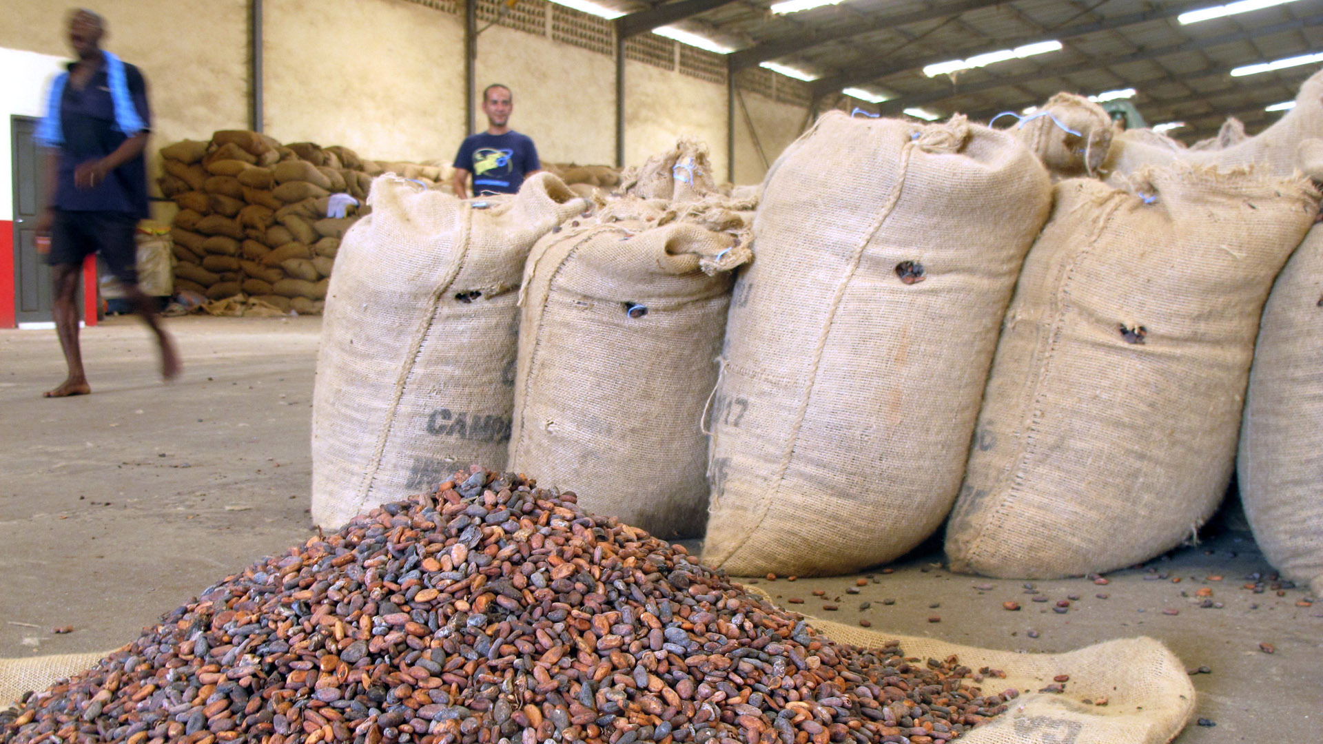 Kakao-Bohnen liegen zum Trocknen in einem Lagerhaus in San-Pedro, Elfenbeinküste. | dpa