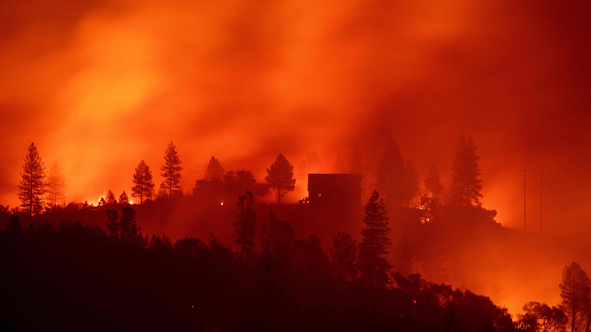 Feuer | Bildquelle: AFP