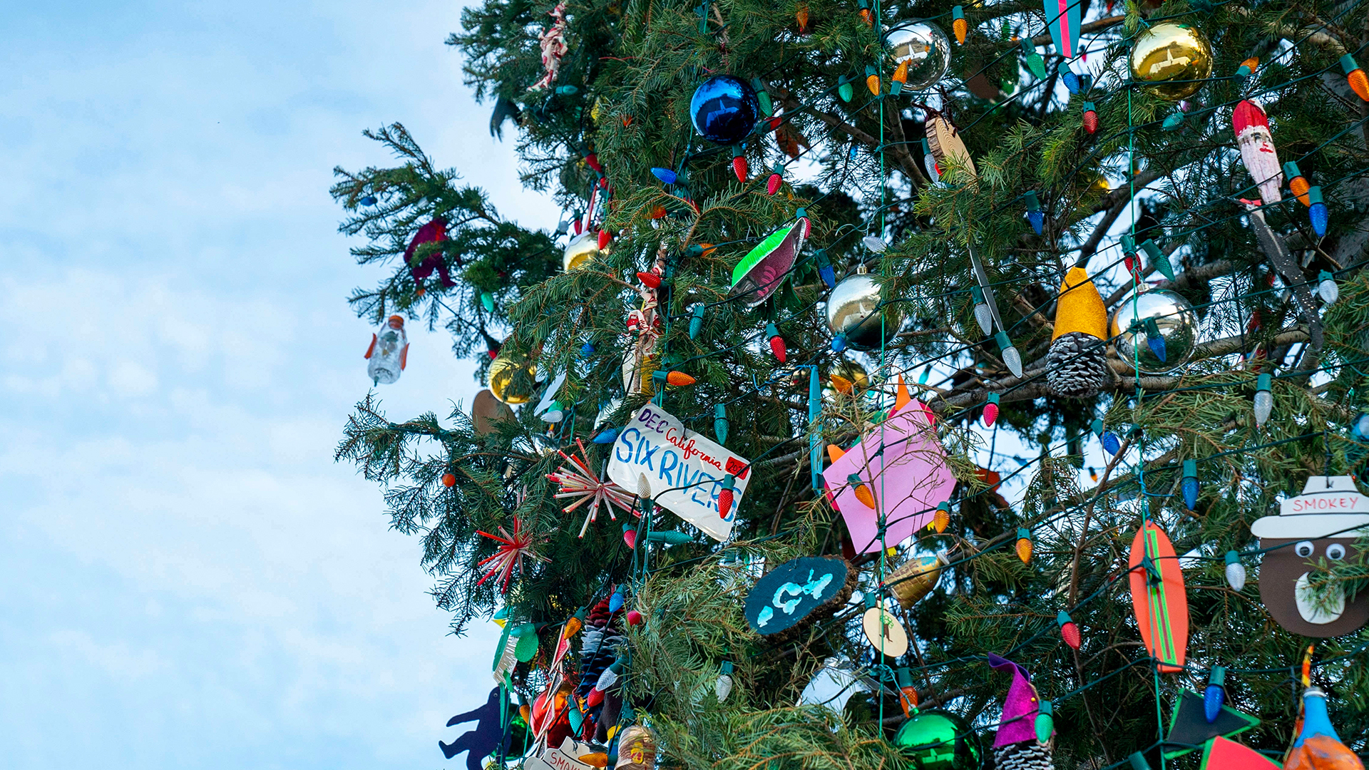 ein weihnachtlich geschmückter Baum in Washington, DC