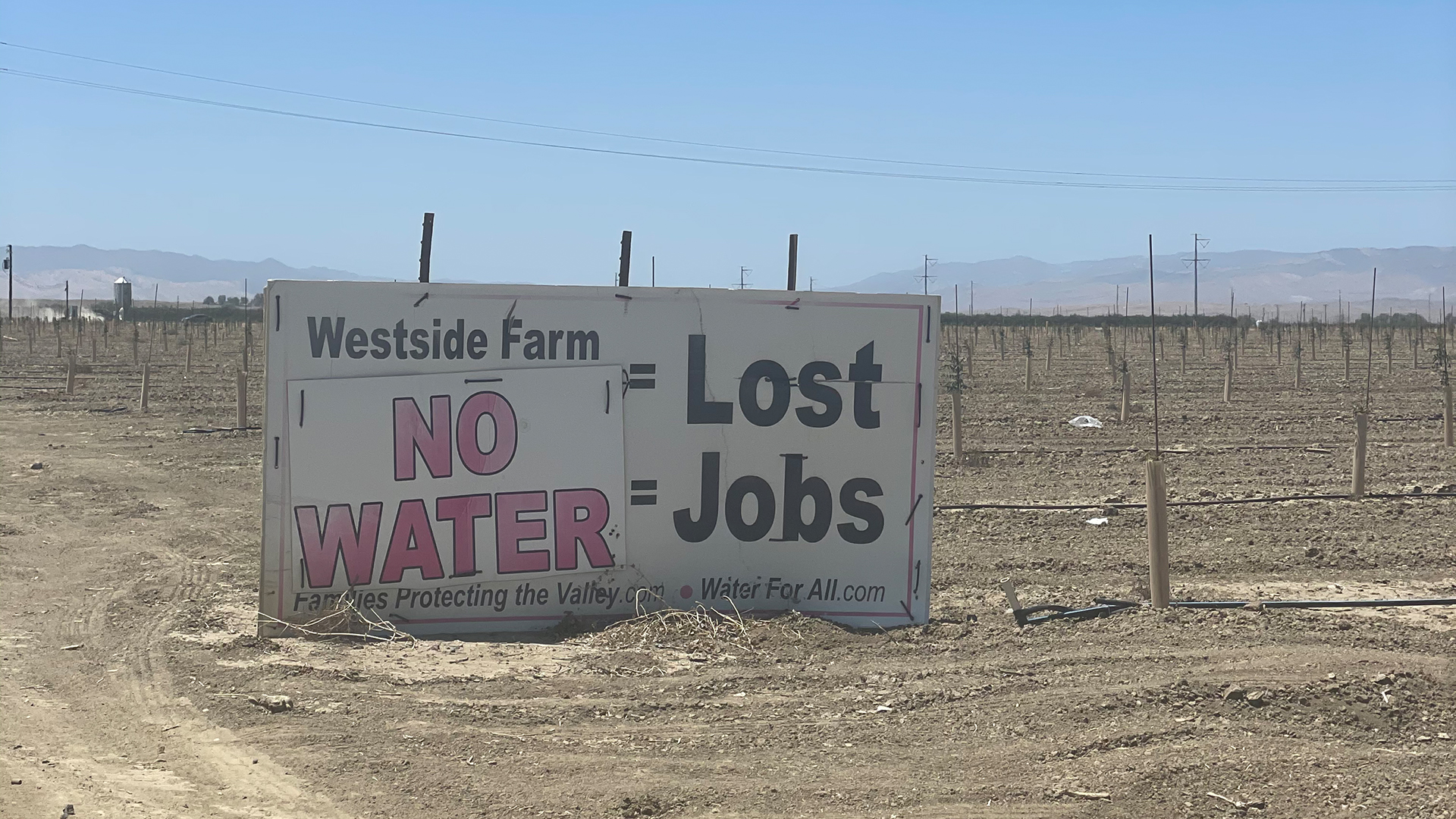 "No Water Lost Jobs" steht auf einem Plakat. | Christine Schacht, ARD-Studio Los Angeles