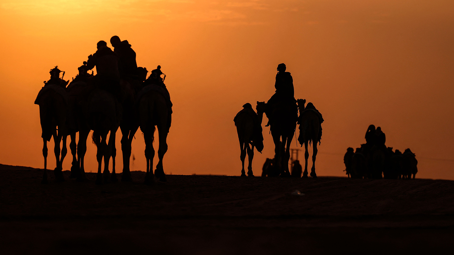 Kamele bei Sonnenaufgang in der Wüste. | AFP