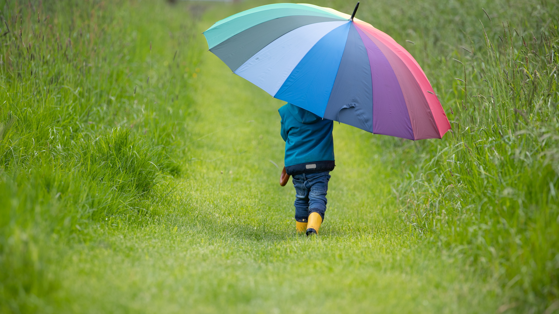 Ein Kind geht mit einem riesigen regebogenfarbenen Schirm einen Feldweg entlang.