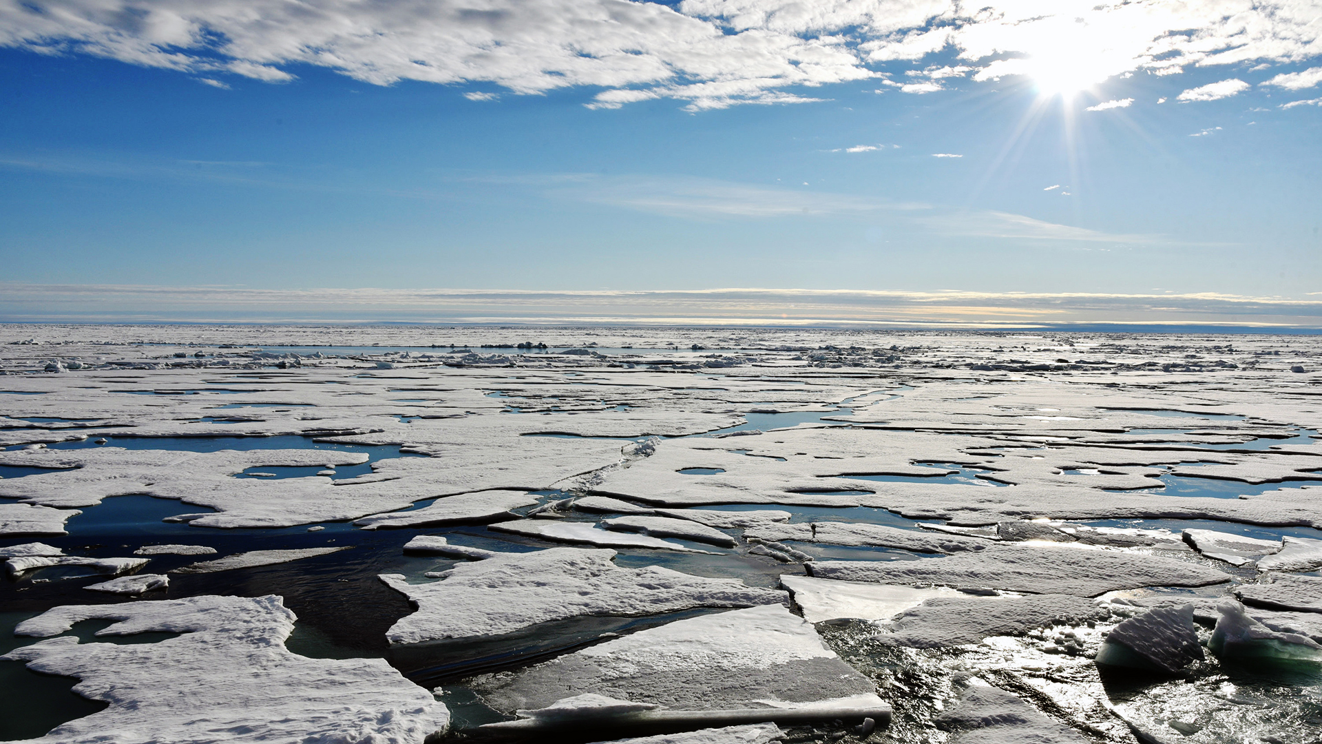 Auf dem Arktischen Ozean am Nordpol schwimmen Eisplatten | dpa