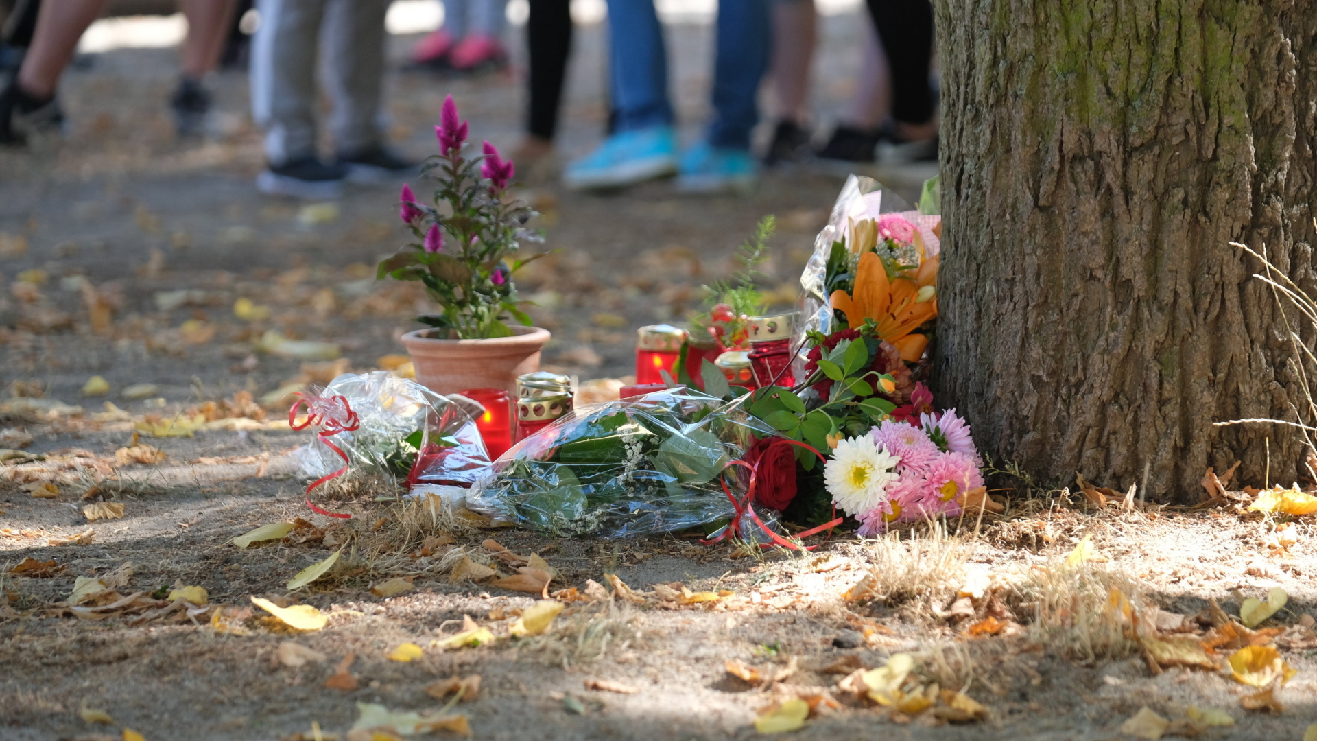 Blumen und Kerzen stehen an einem Baum auf einem Spielplatz. Bei einem Streit zwischen zwei Männergruppen in Köthen ist ein 22-Jähriger ums Leben gekommen | Bildquelle: dpa