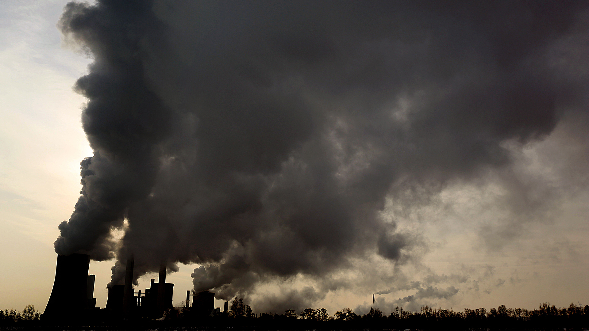  Dampf und Rauch steigen aus dem RWE Braunkohlekraftwerk Niederaußem | dpa