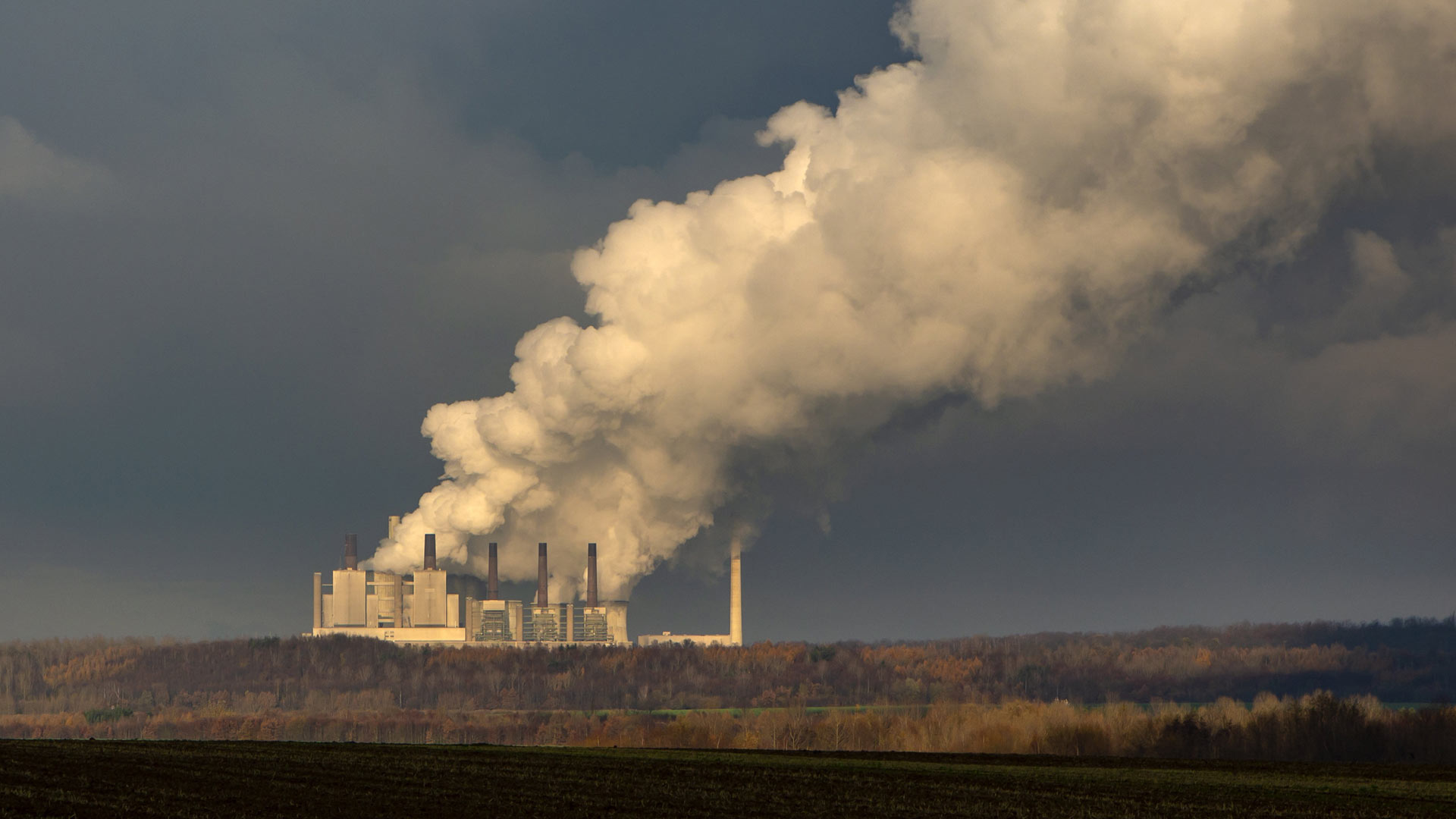 Blick auf die Blöcke A-E des Braunkohlekraftwerks Neurath  | picture alliance / Goldmann