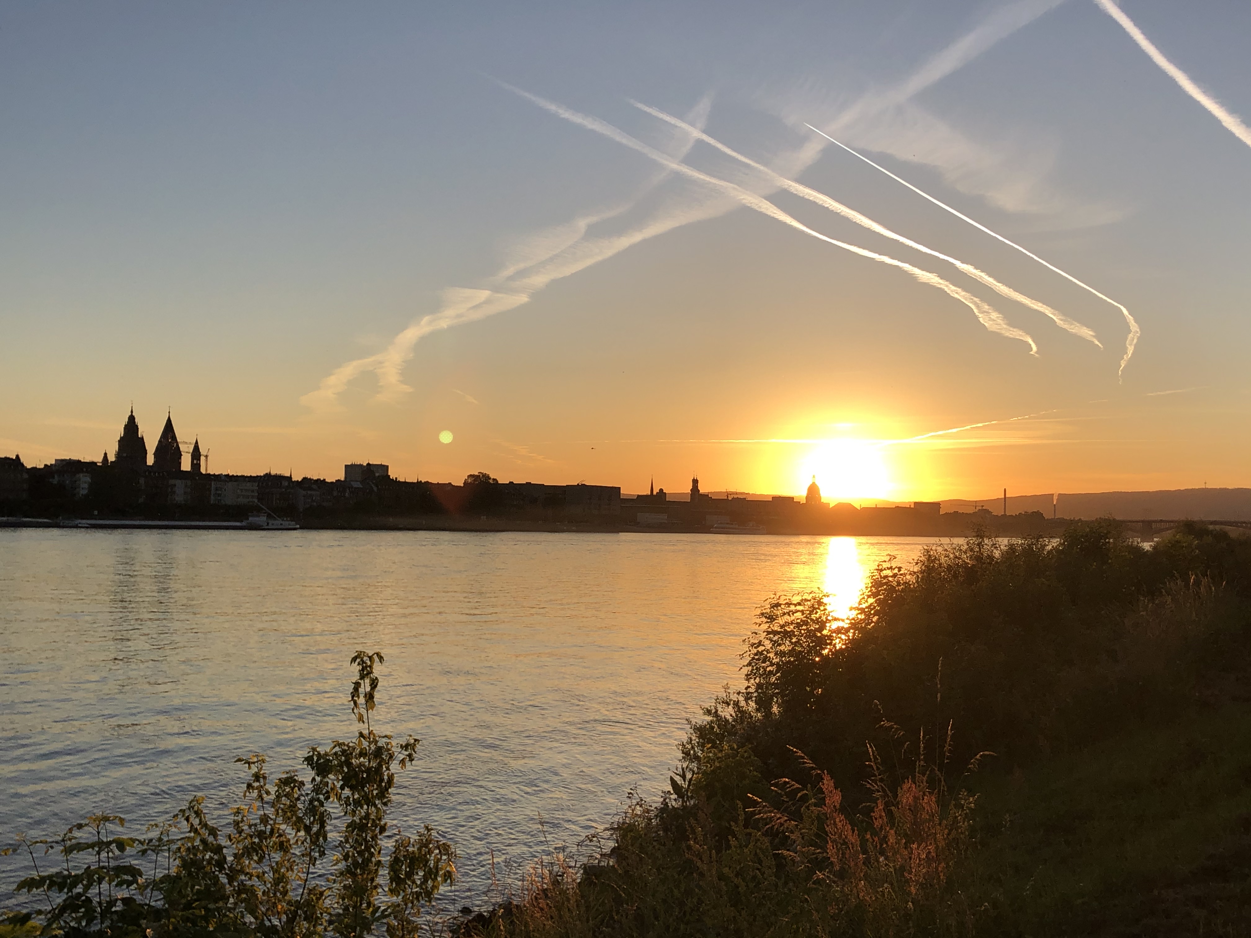 Kondensstreifen am Himmel über Mainz | Iris Völlnagel/SWR
