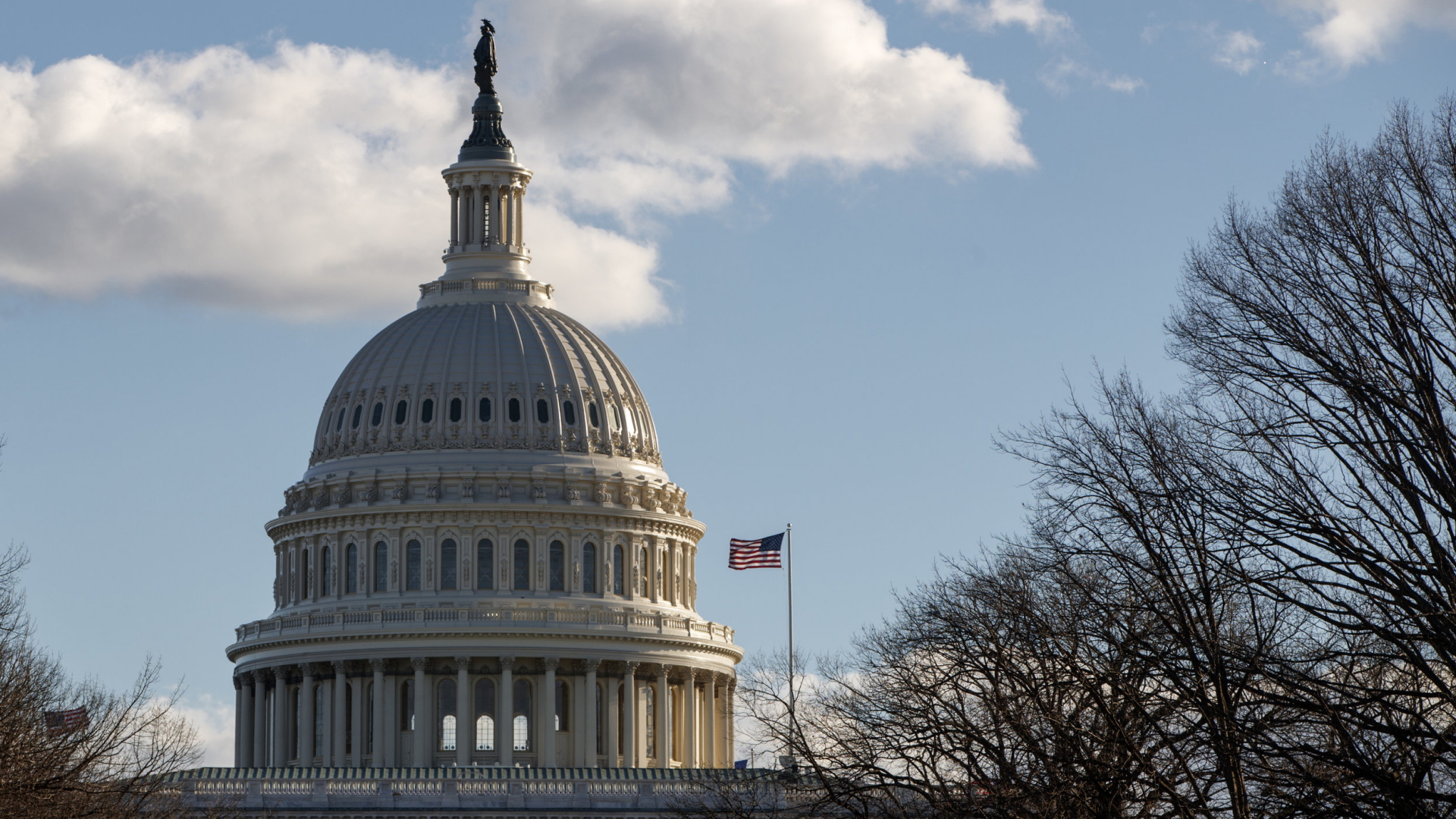 Das Kapitol in Washington | AP