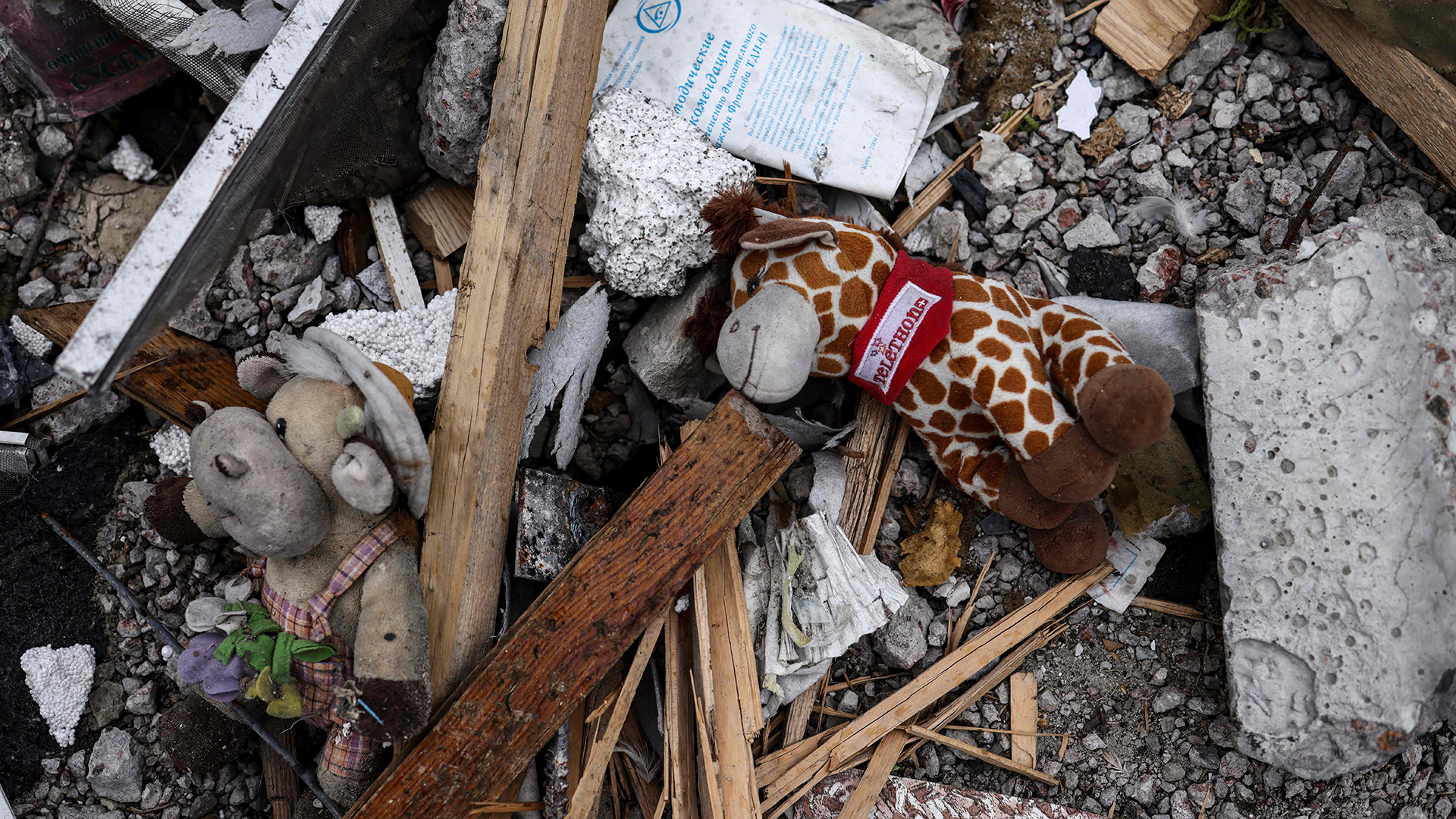 Kuscheltiere liegen auf dem Boden eines zerstörten Gebäudes. (Archivbild) | AFP