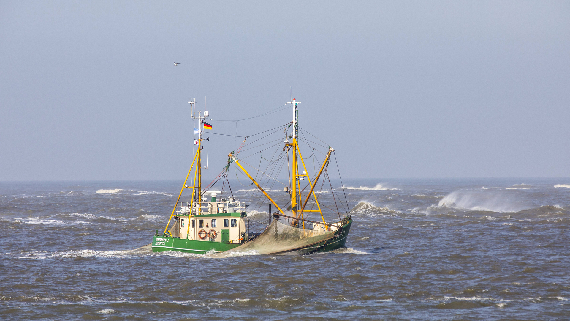 Krabbenkutter in der Nordsee | imago/Jochen Tack