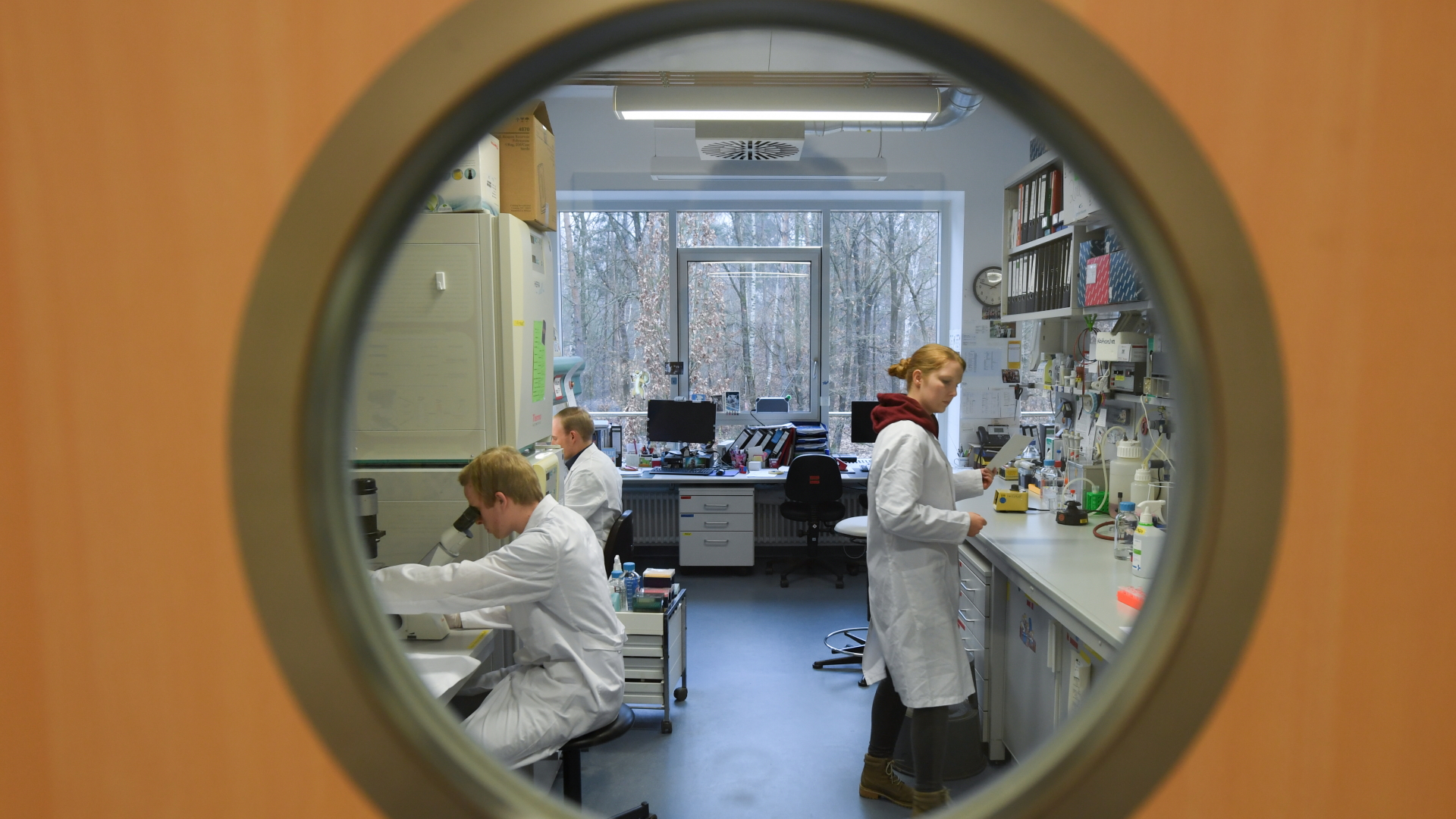 Mitarbeiter des Instituts für Virologie der Philipps-Universität Marburg in einem Forschungslabor. | dpa