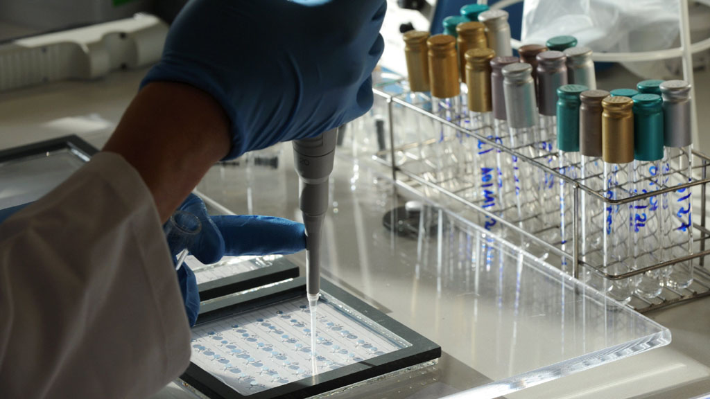 Mit einer Pipette wird in einem Labor des Paul-Ehrlich-Instituts Impfstoff auf eine Glasplatte aufgetragen.