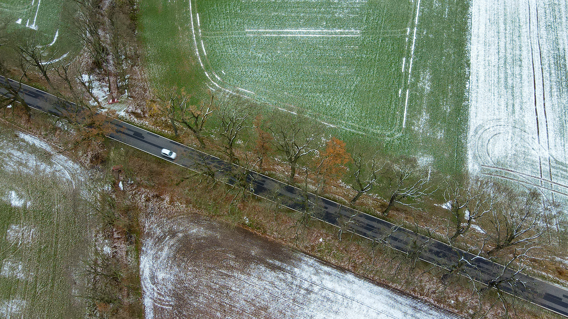 Schnee liegt auf den Feldern neben einer Straße im Landkreis Oder-Spree im Osten des Landes Brandenburg. | picture alliance/dpa/dpa-Zentral